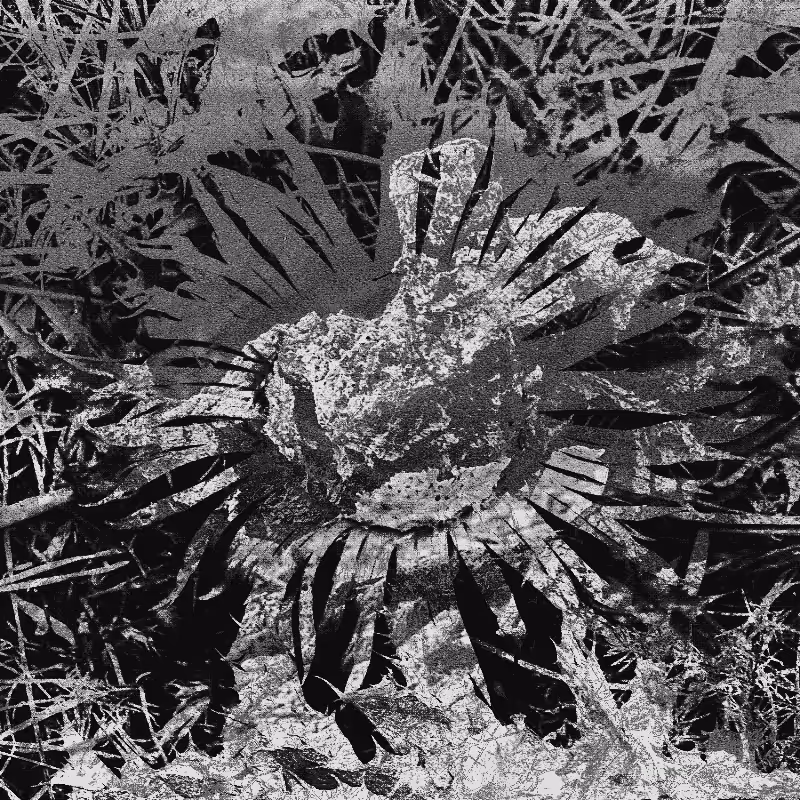 Plant remains #14
