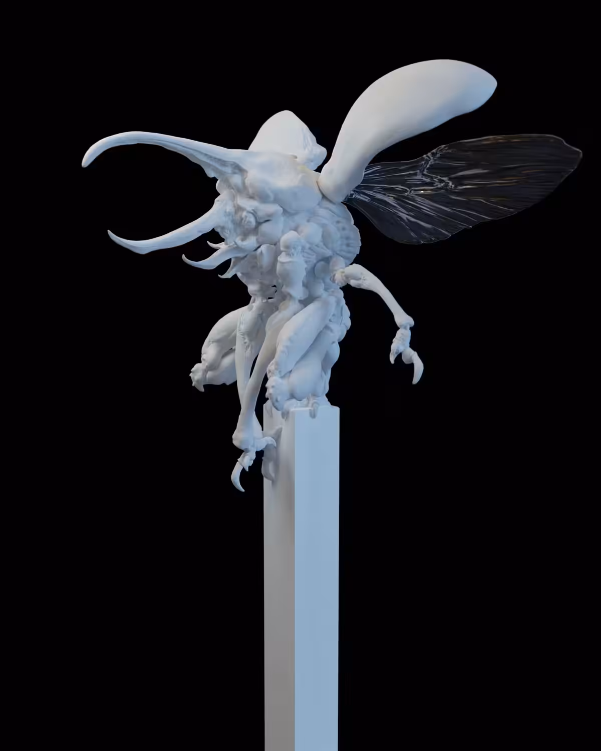 Beetle