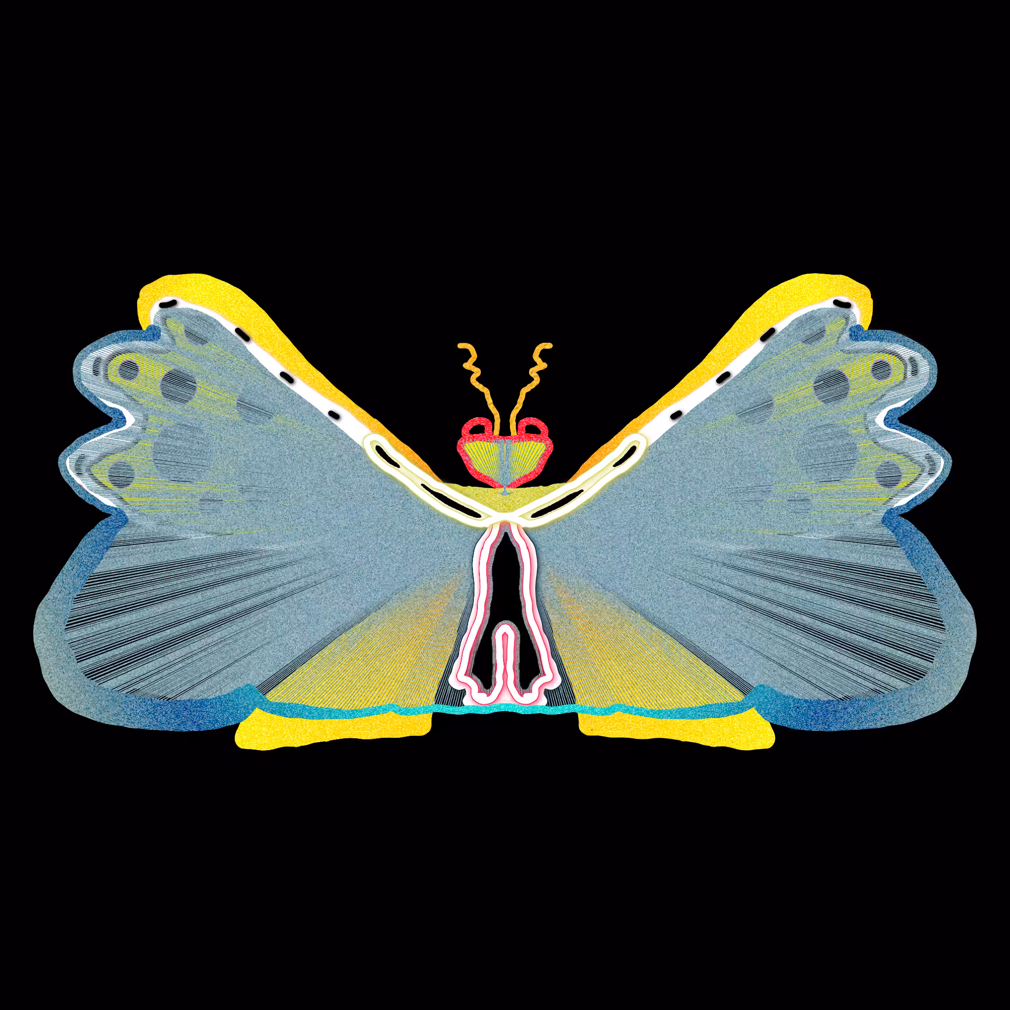 Tezerfly#055