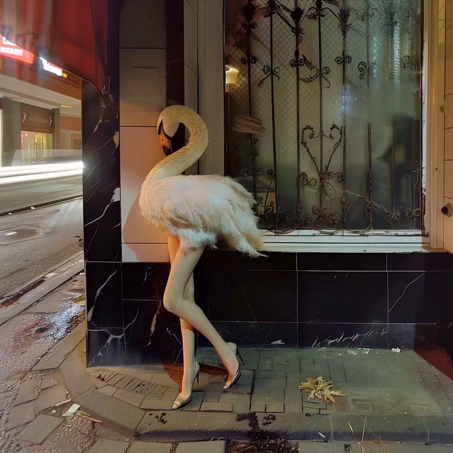 swan