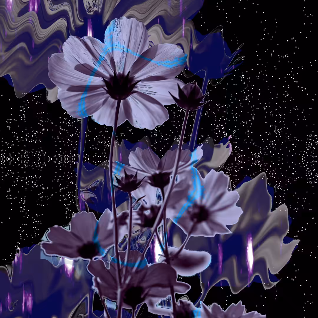 deep dream