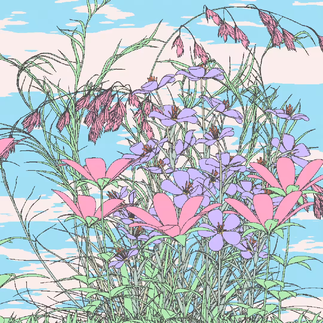Flower Patch 1