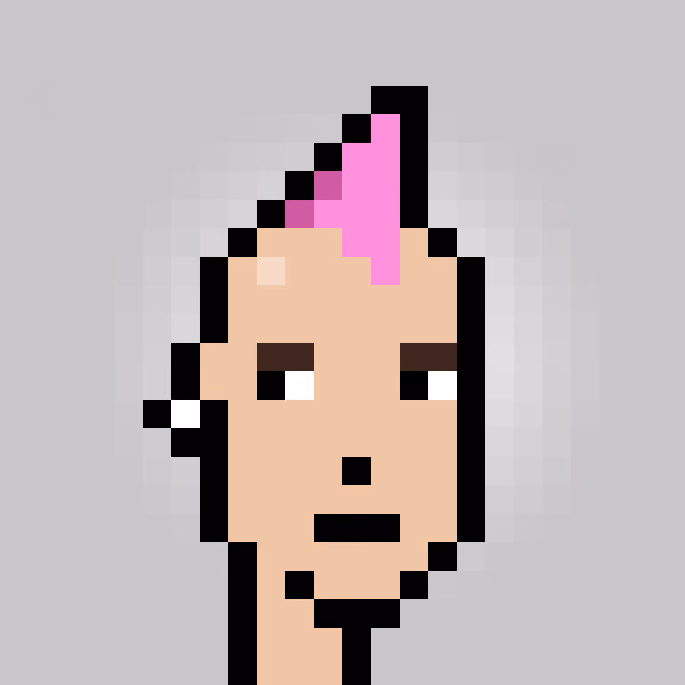Unofficial Punks V2 #1355