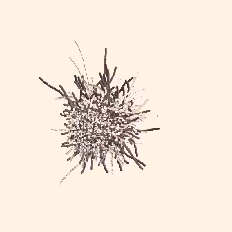 fibinous infection #99