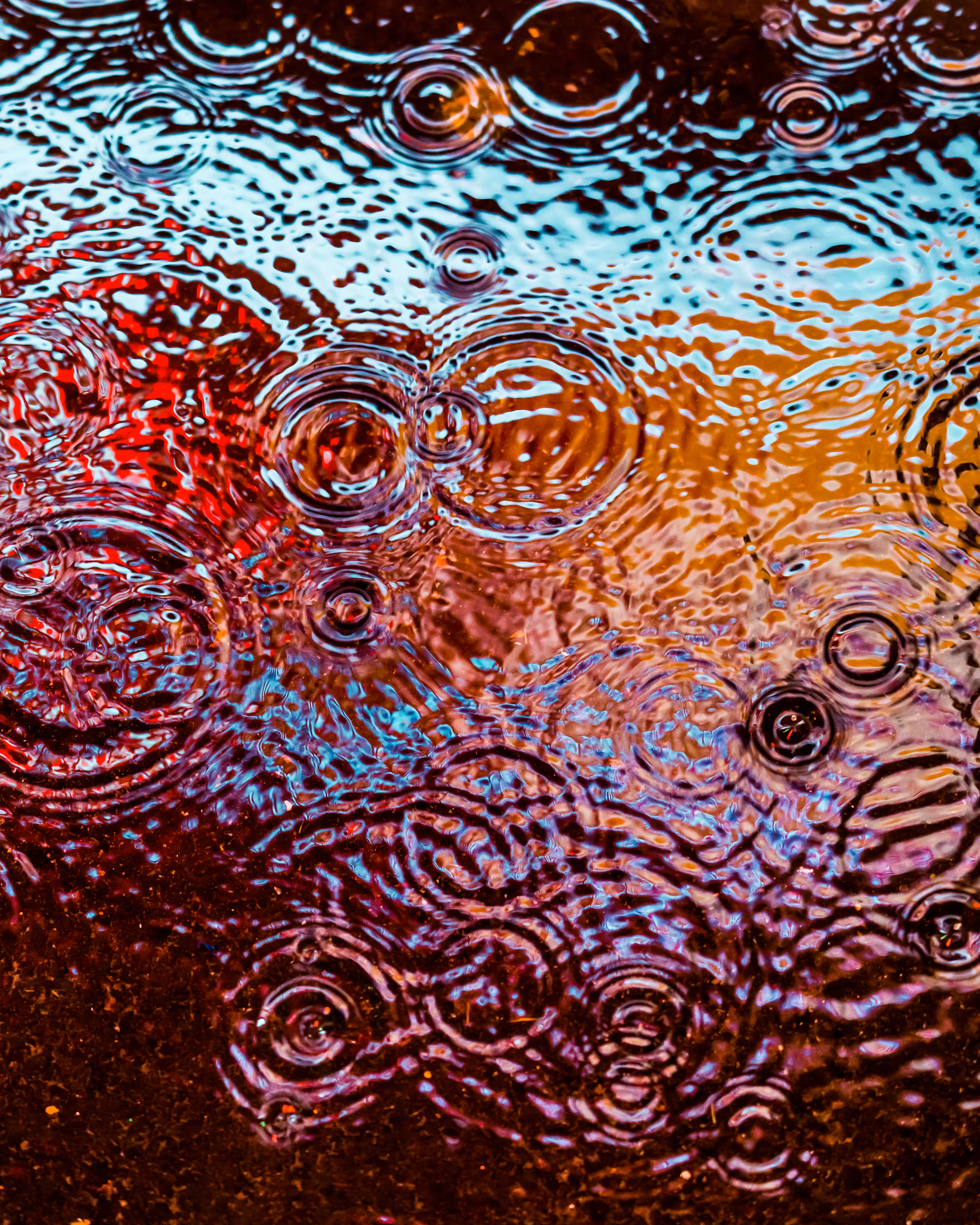 DRIP DROP: DRIP #335