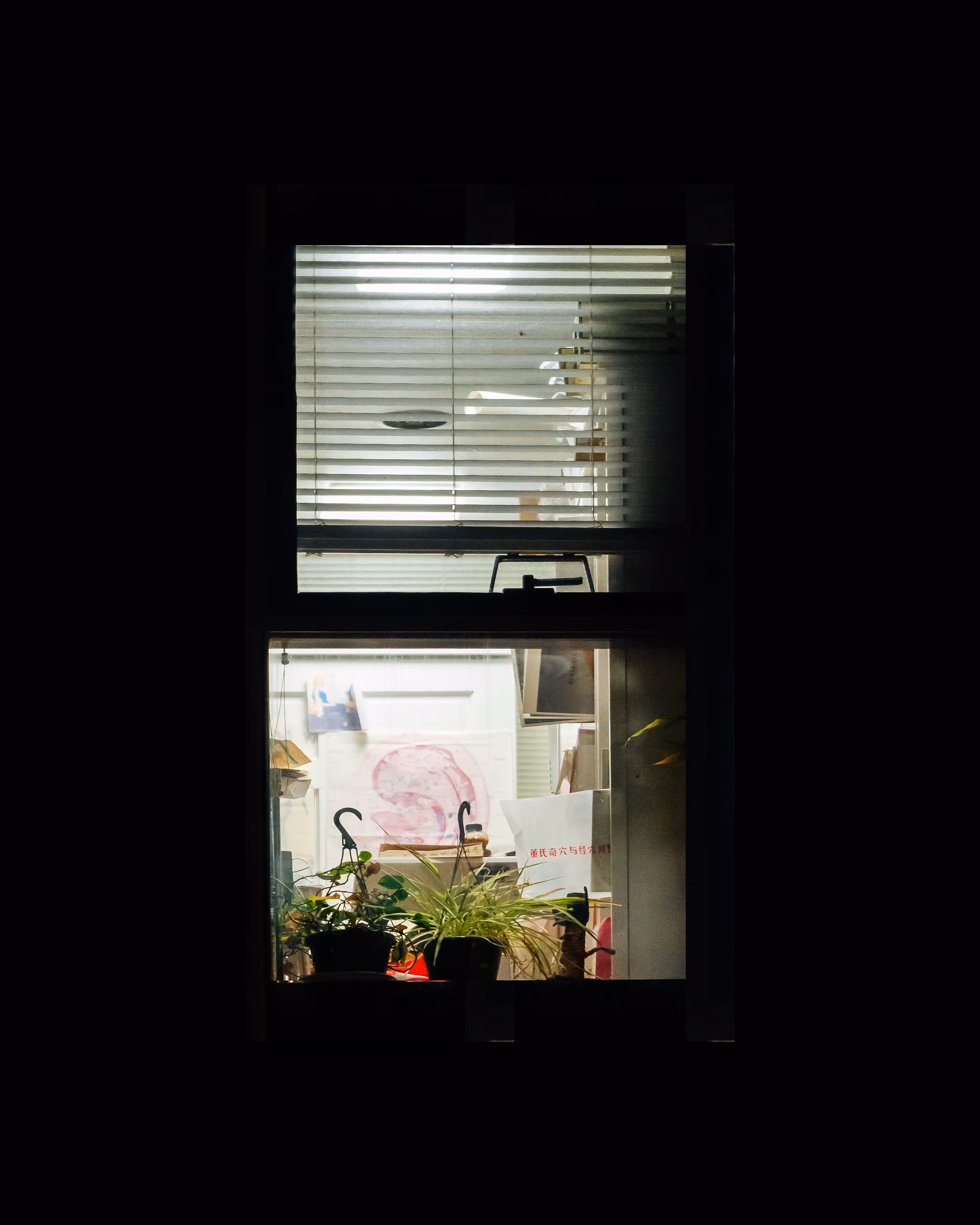 WINDOWS // NYC: WINDOW 320
