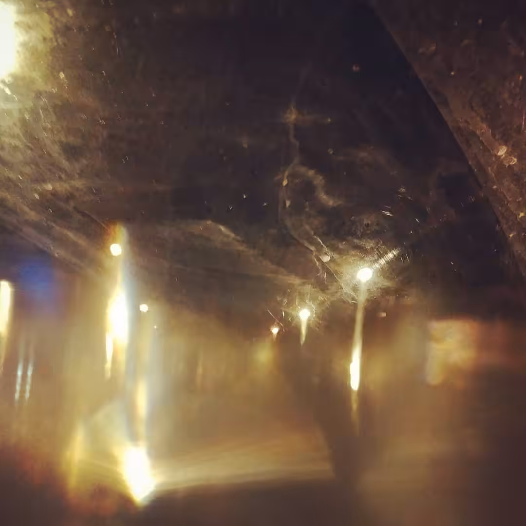 XXIII