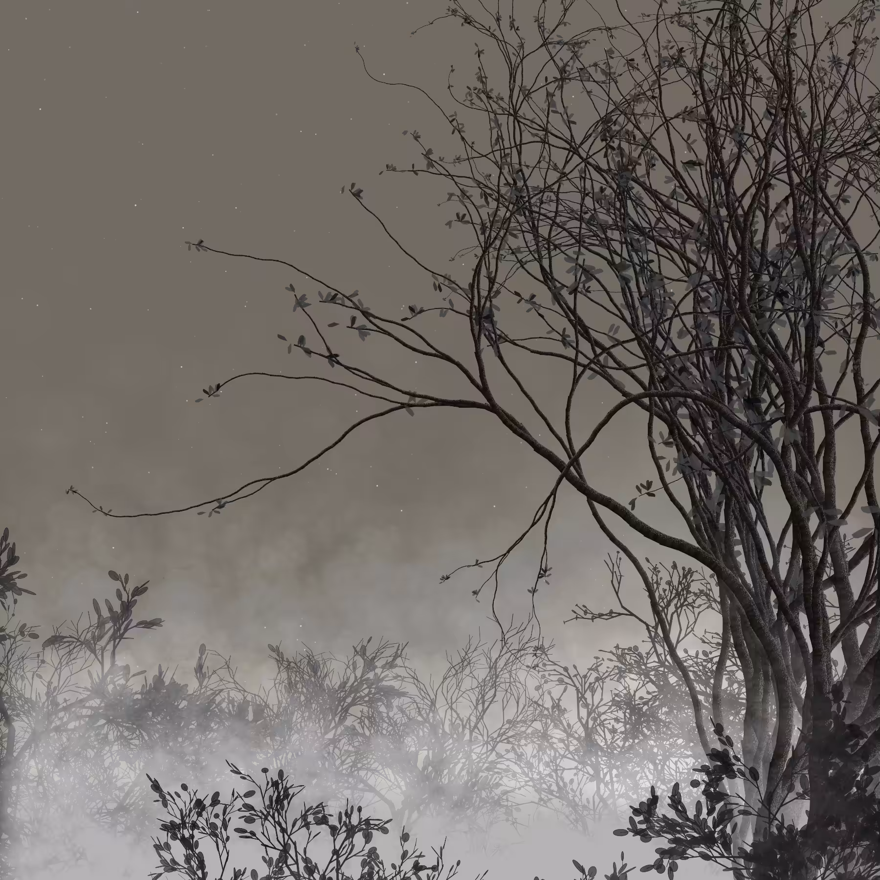 Morning Mist #266
