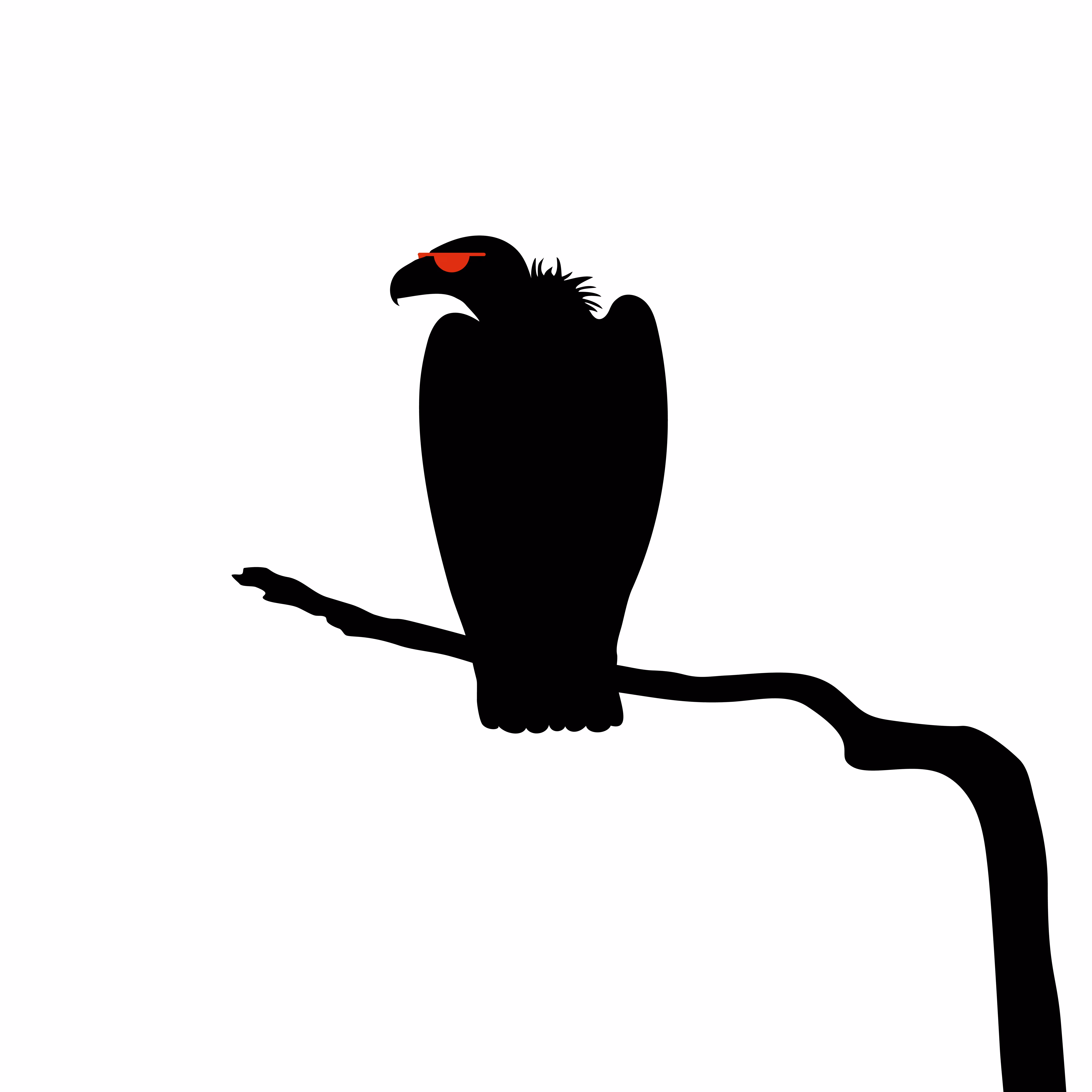 Vulture Culture