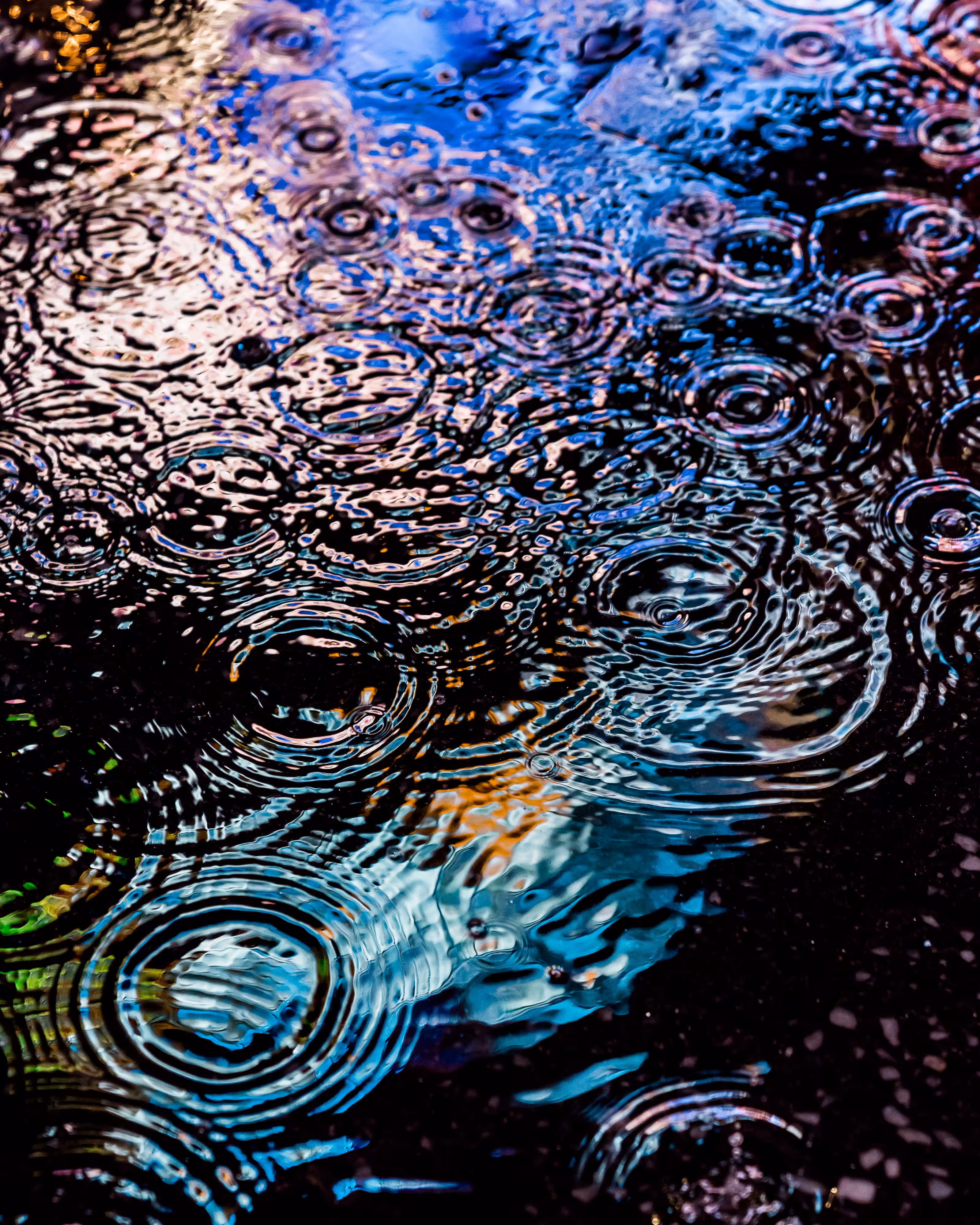 DRIP DROP: DRIP #304