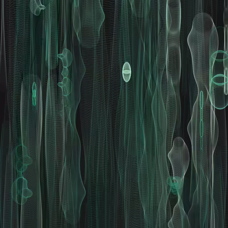 sinusoidal #61