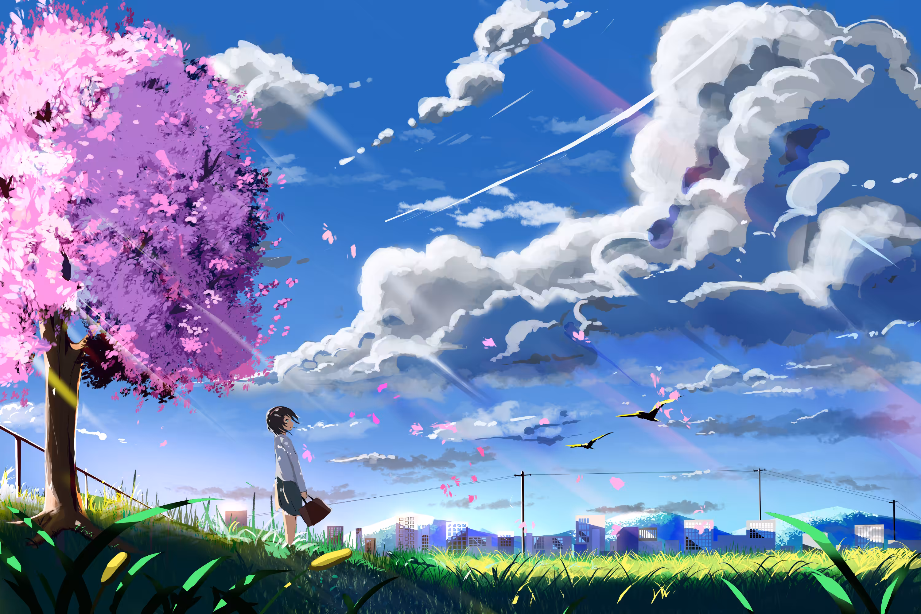 Across the blue skies