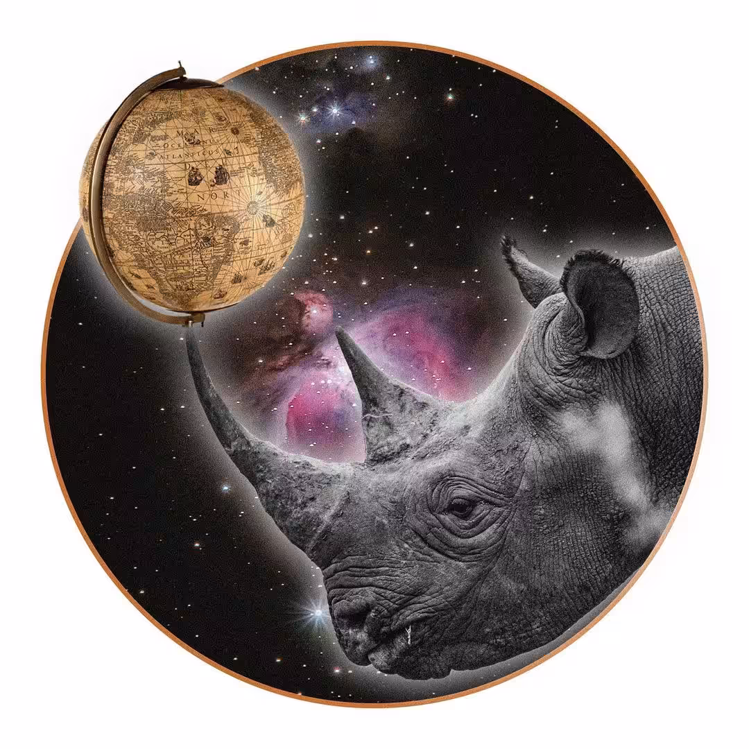 Circle 3