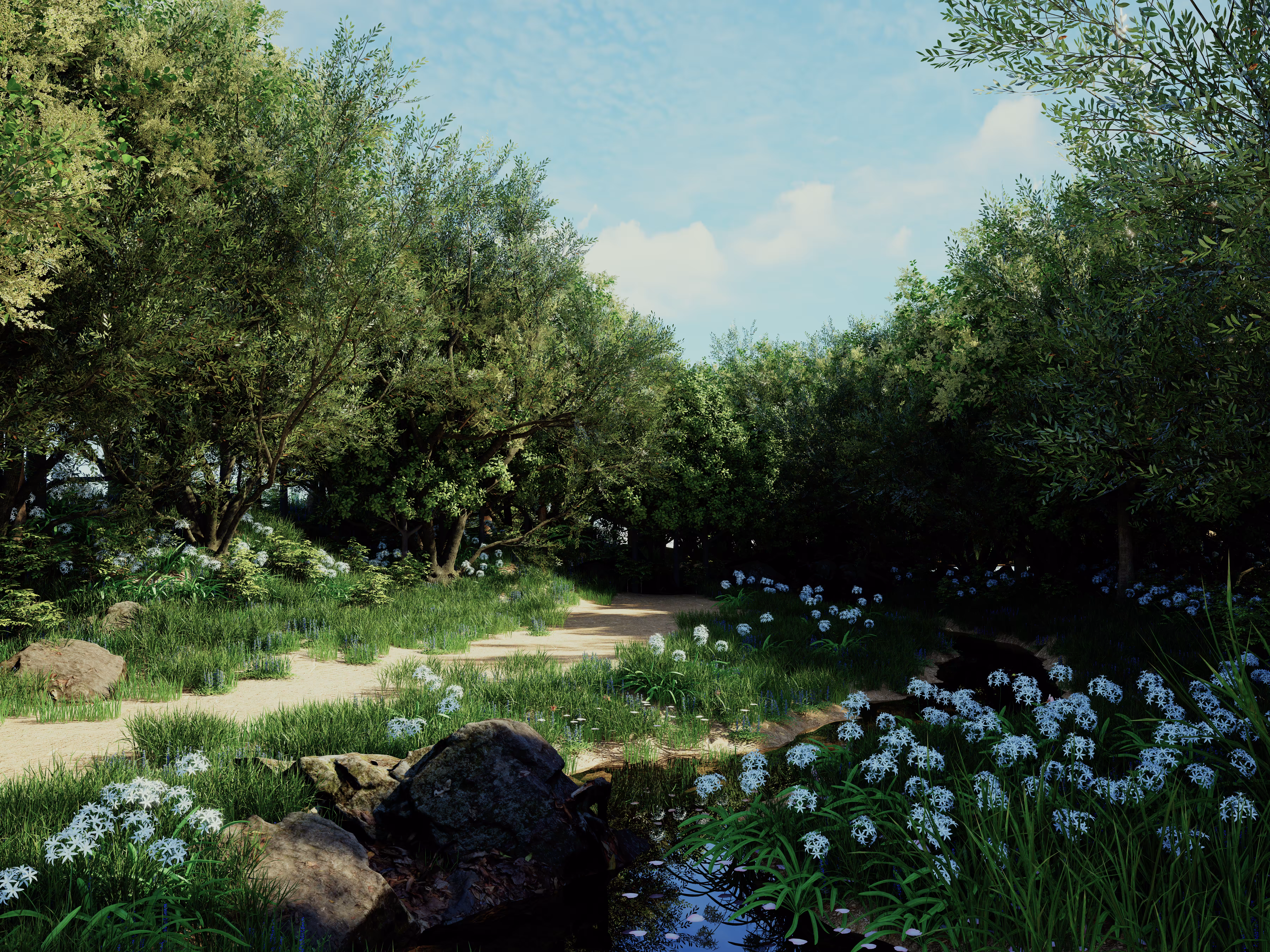 Nature Beauty