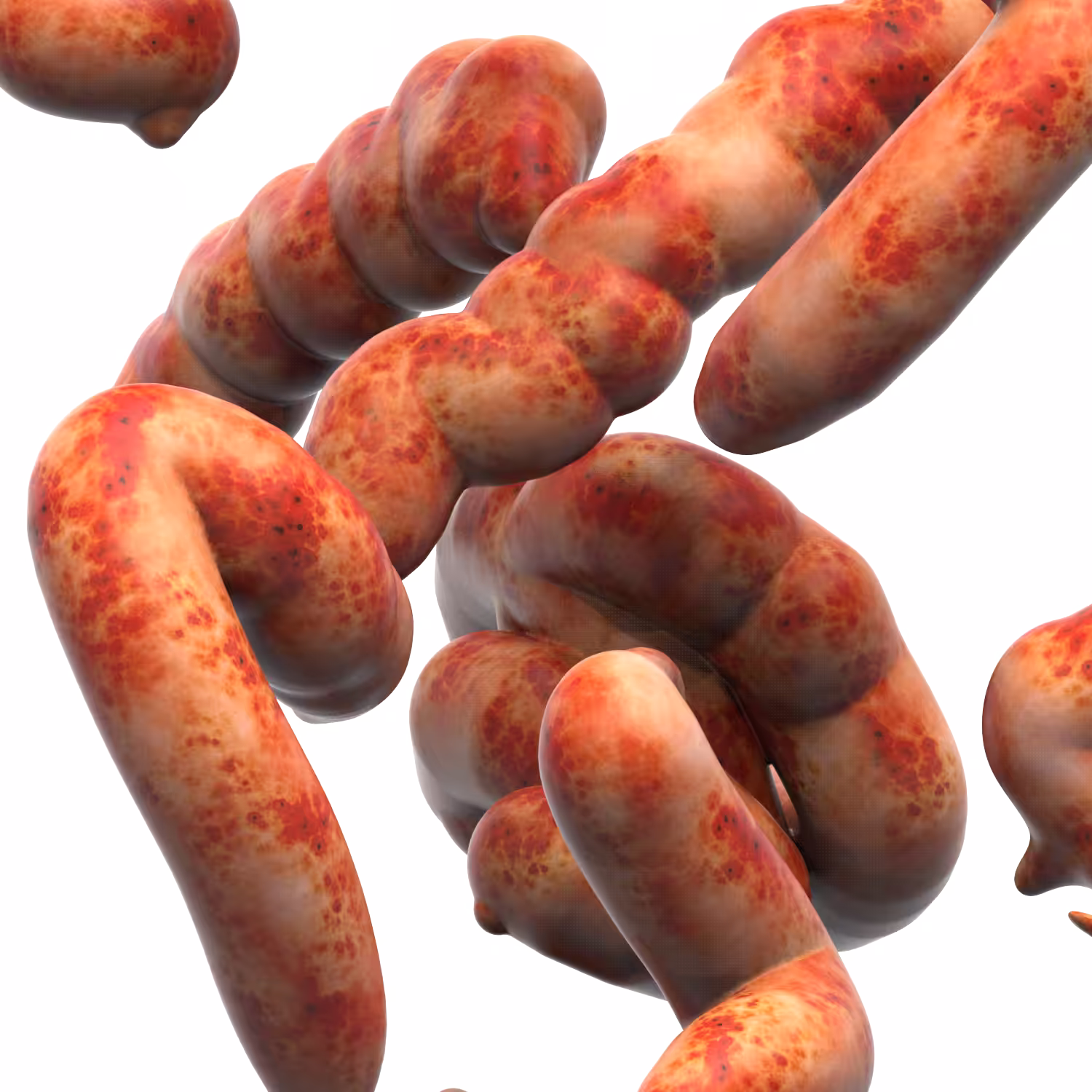 meat.03