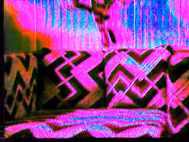 VHS CAT GLITCH