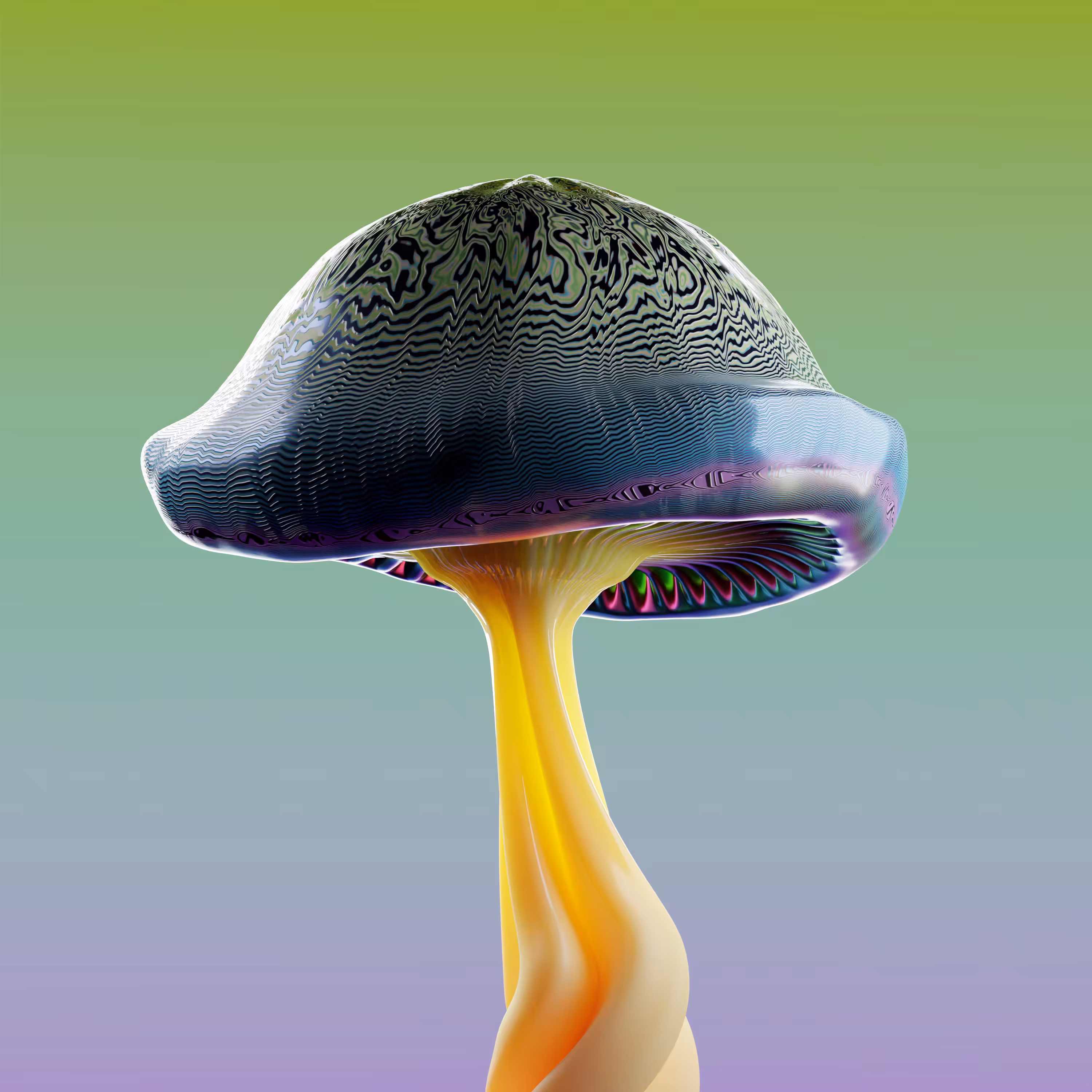 Null Beauty