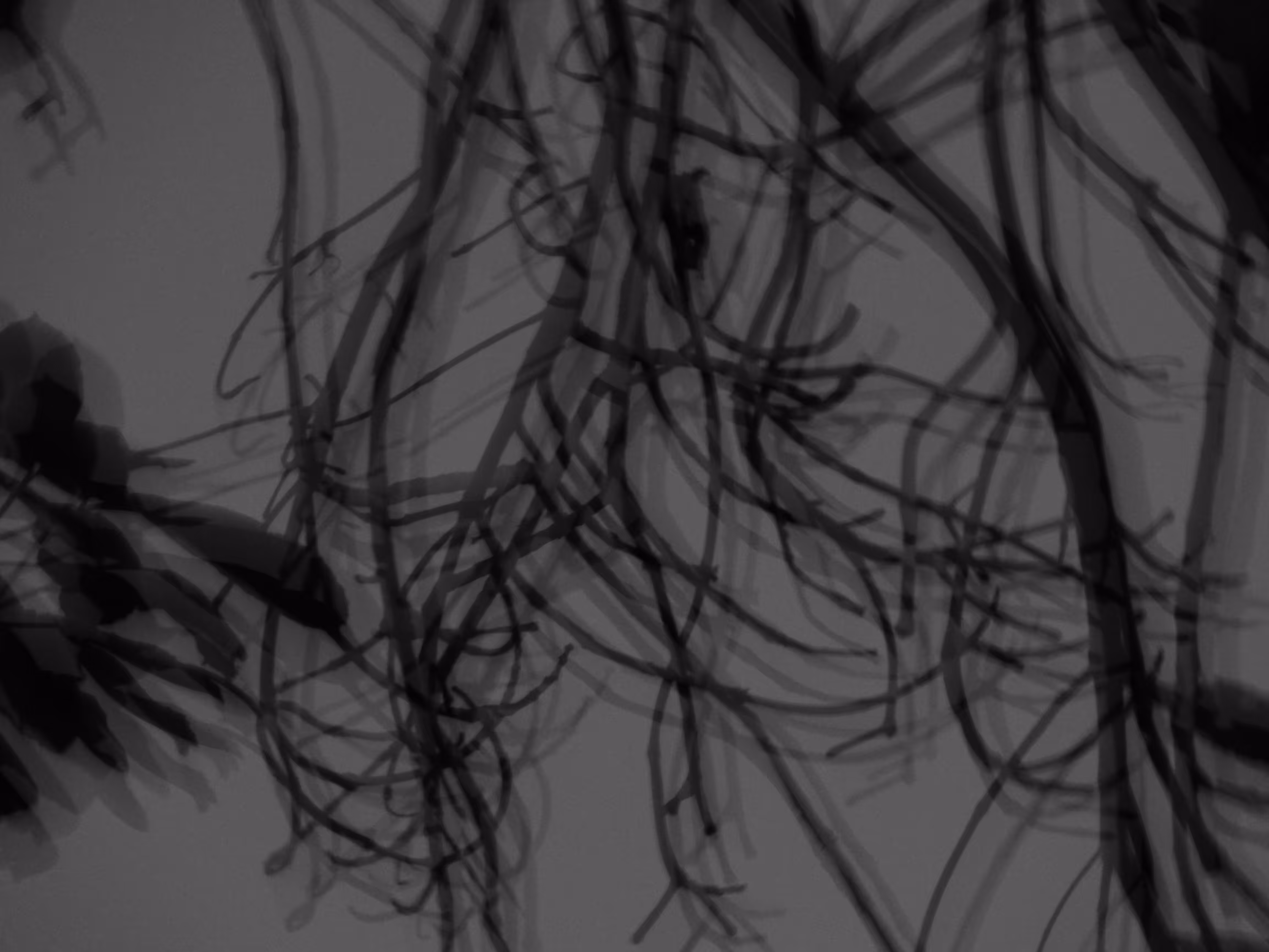 painting with a camera - Piece 05