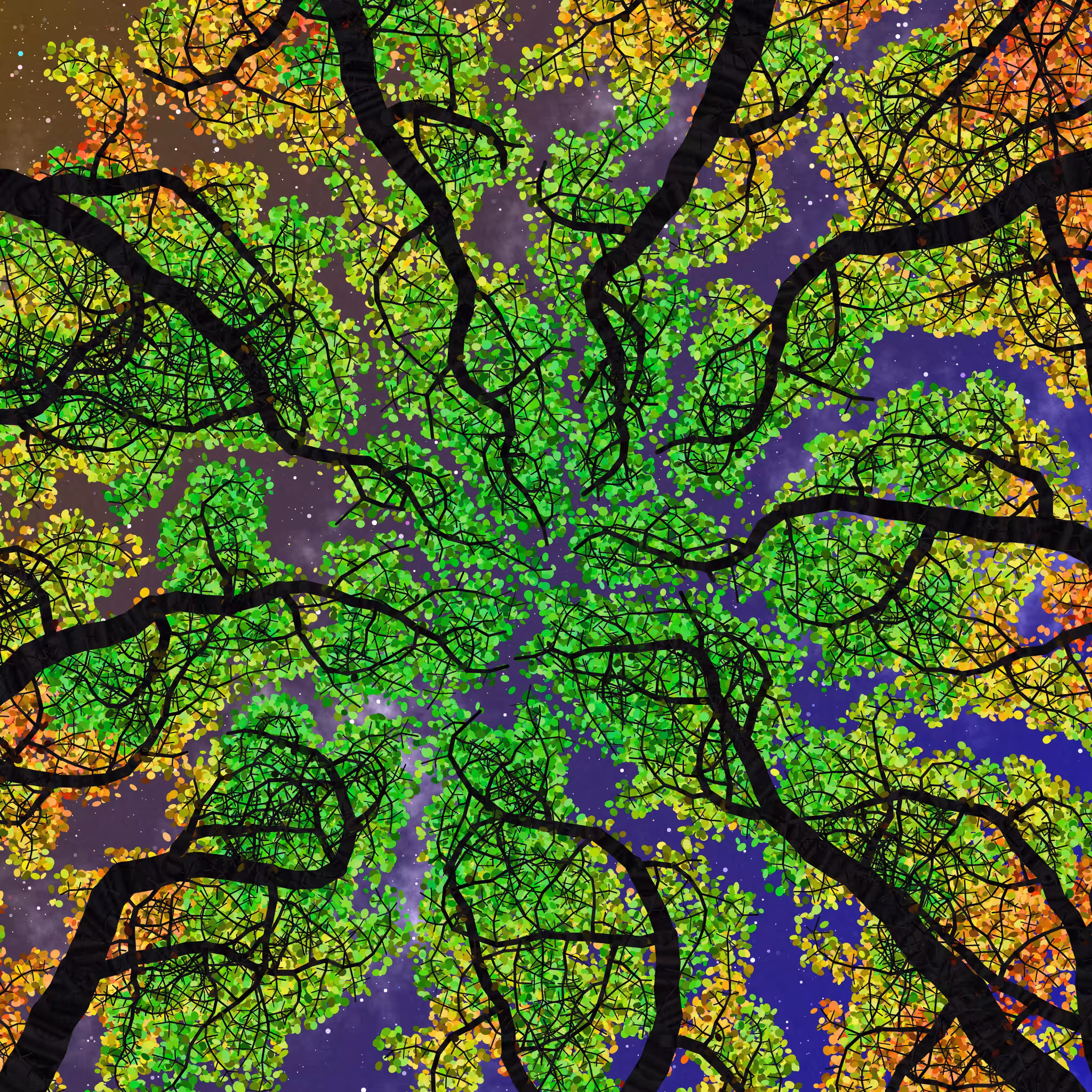 Tree Skyness #143