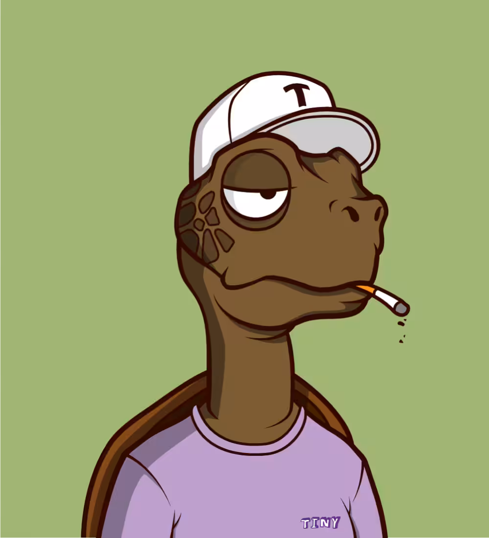 Tiny Turtle 105