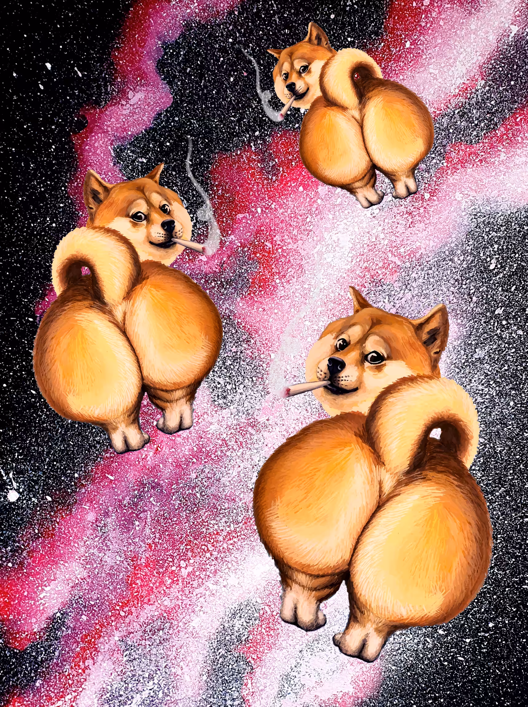 THICC DOGE IN SPACE