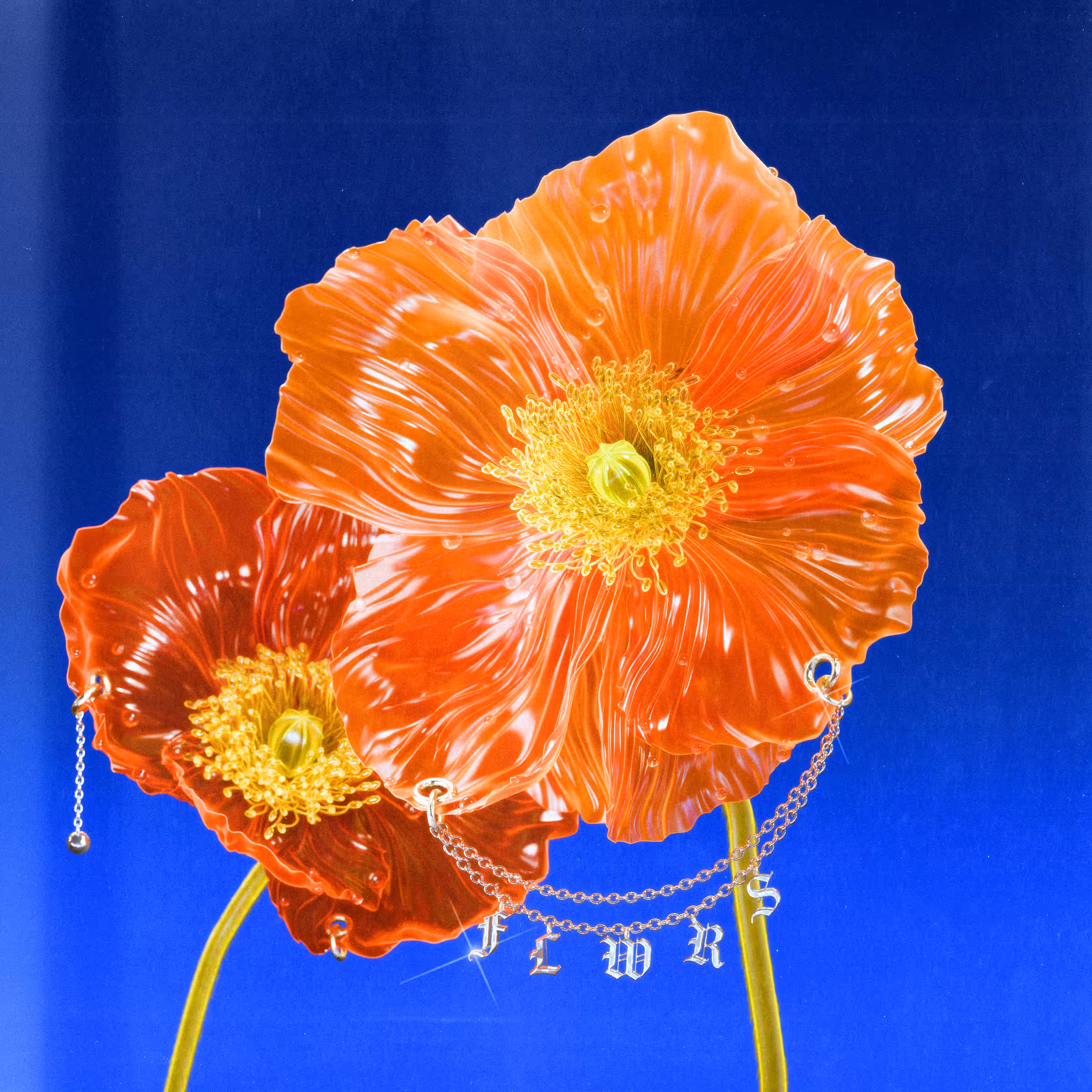 Flower #02 by Olivia Pedigo