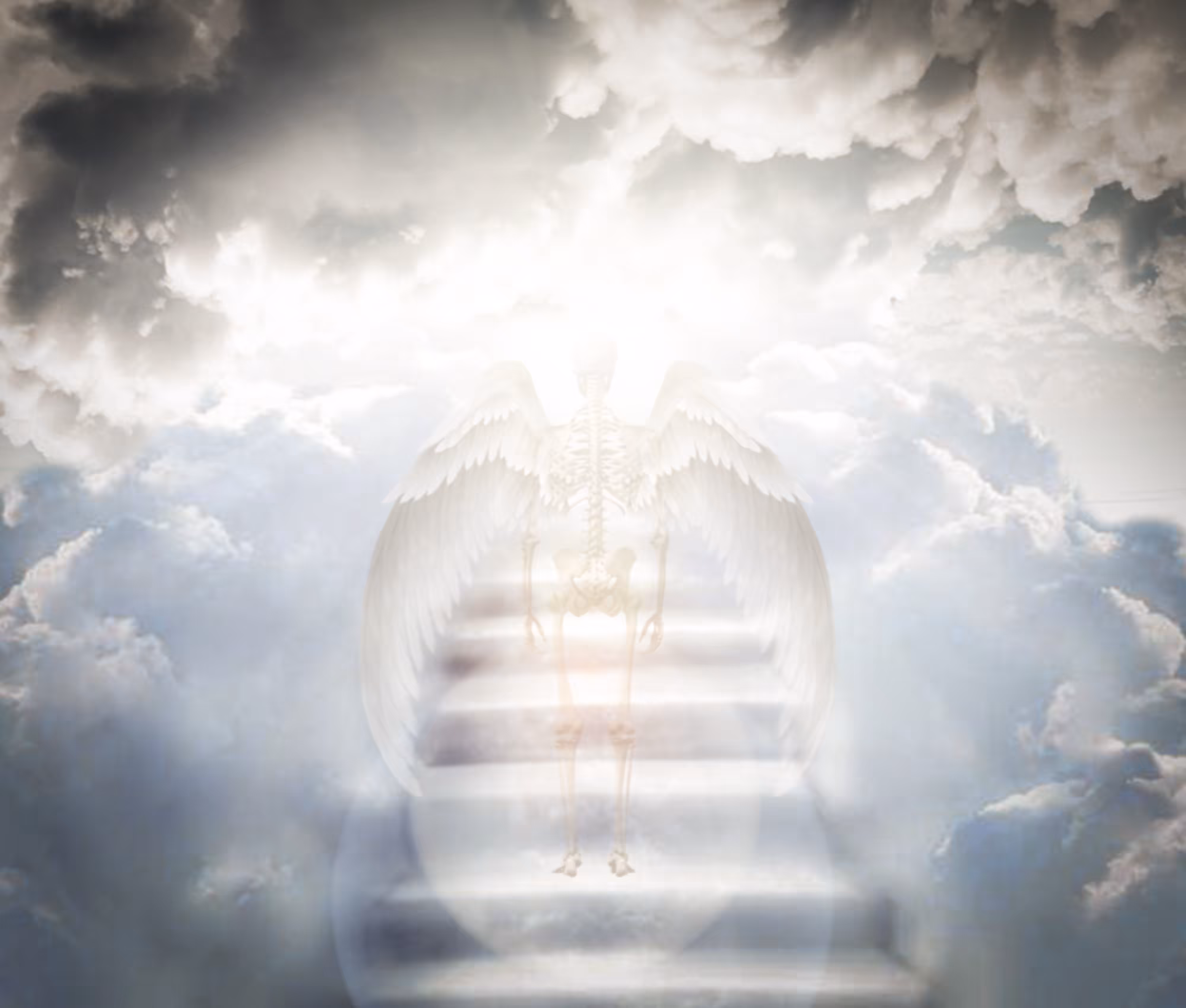 THE DESTROYING ANGEL