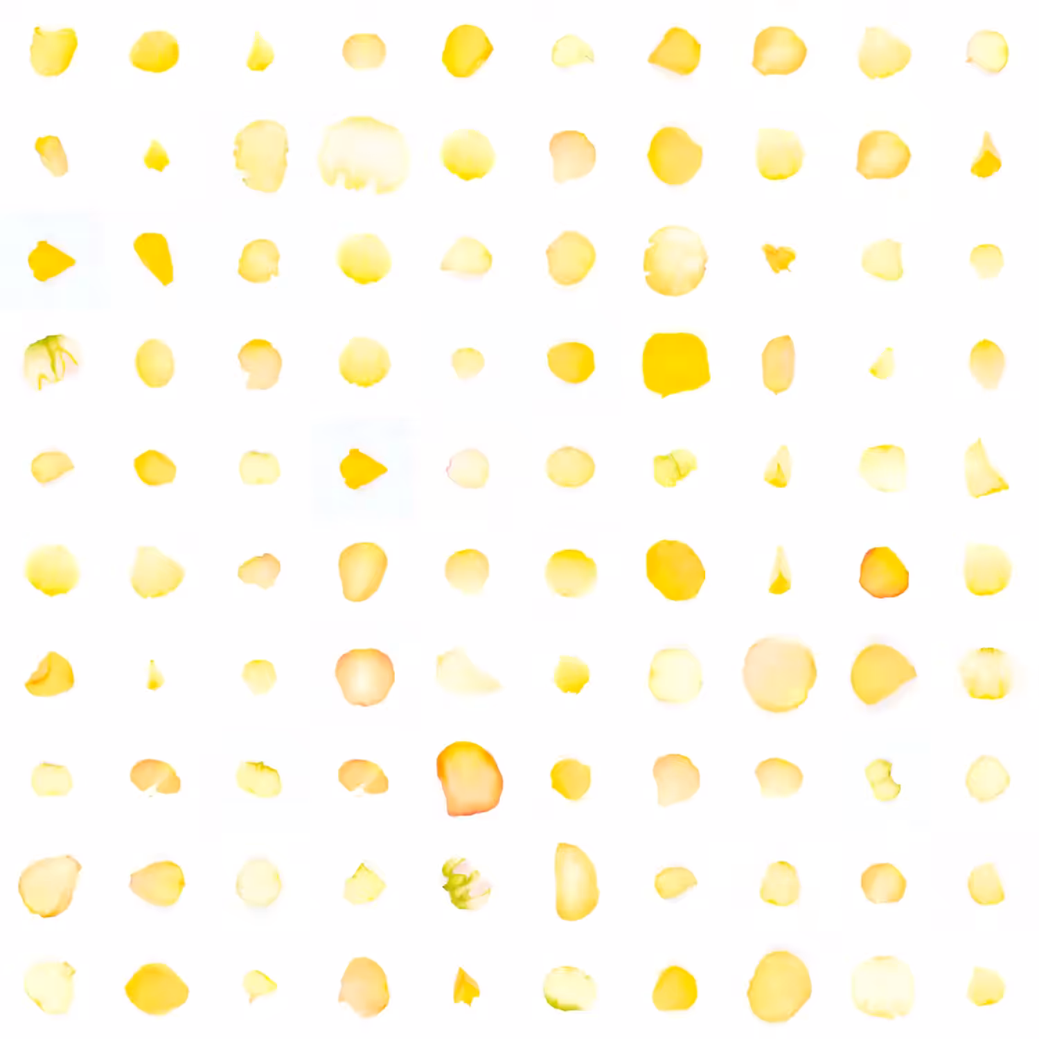 Infinite Petals 10x10#10068