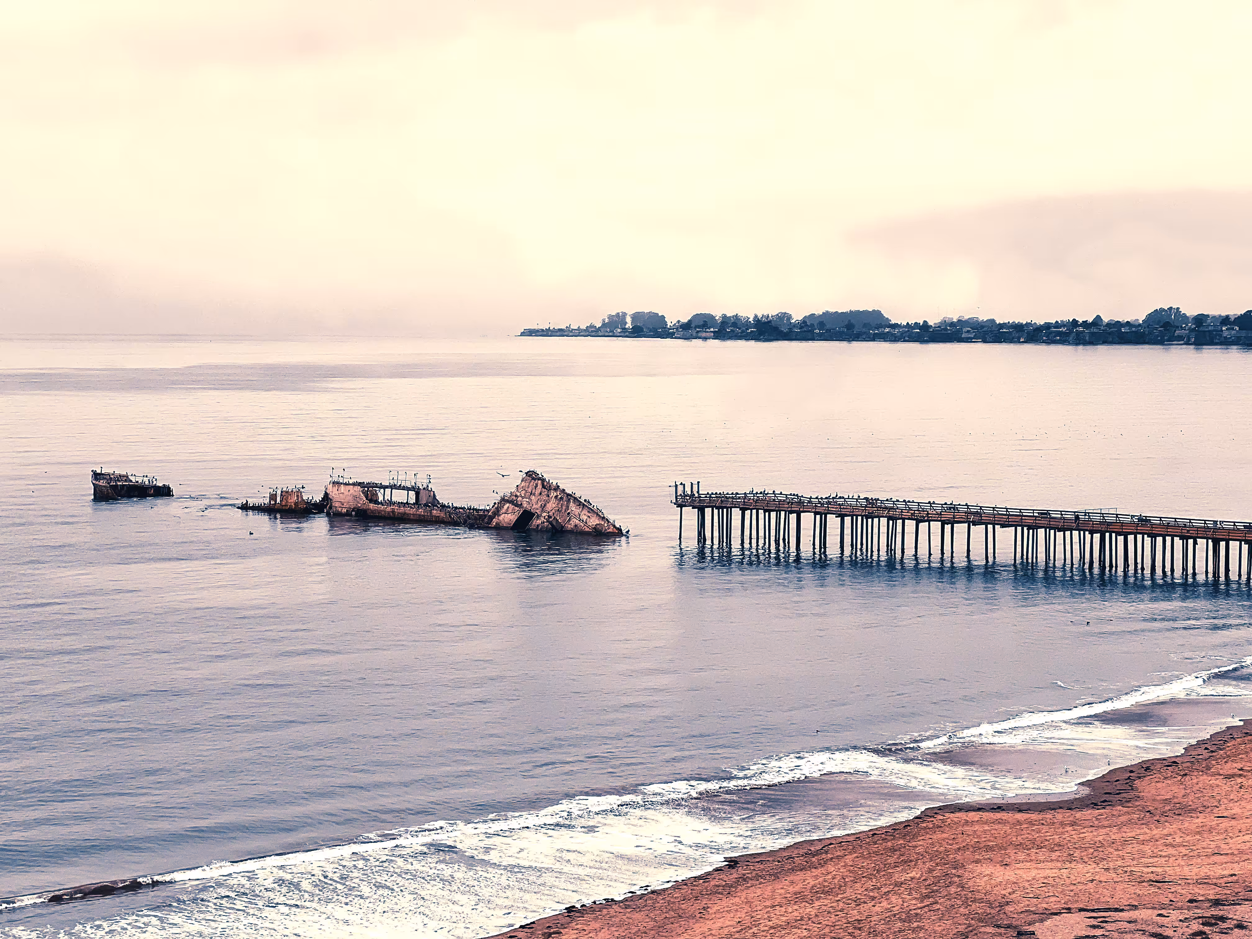 Cement Ship