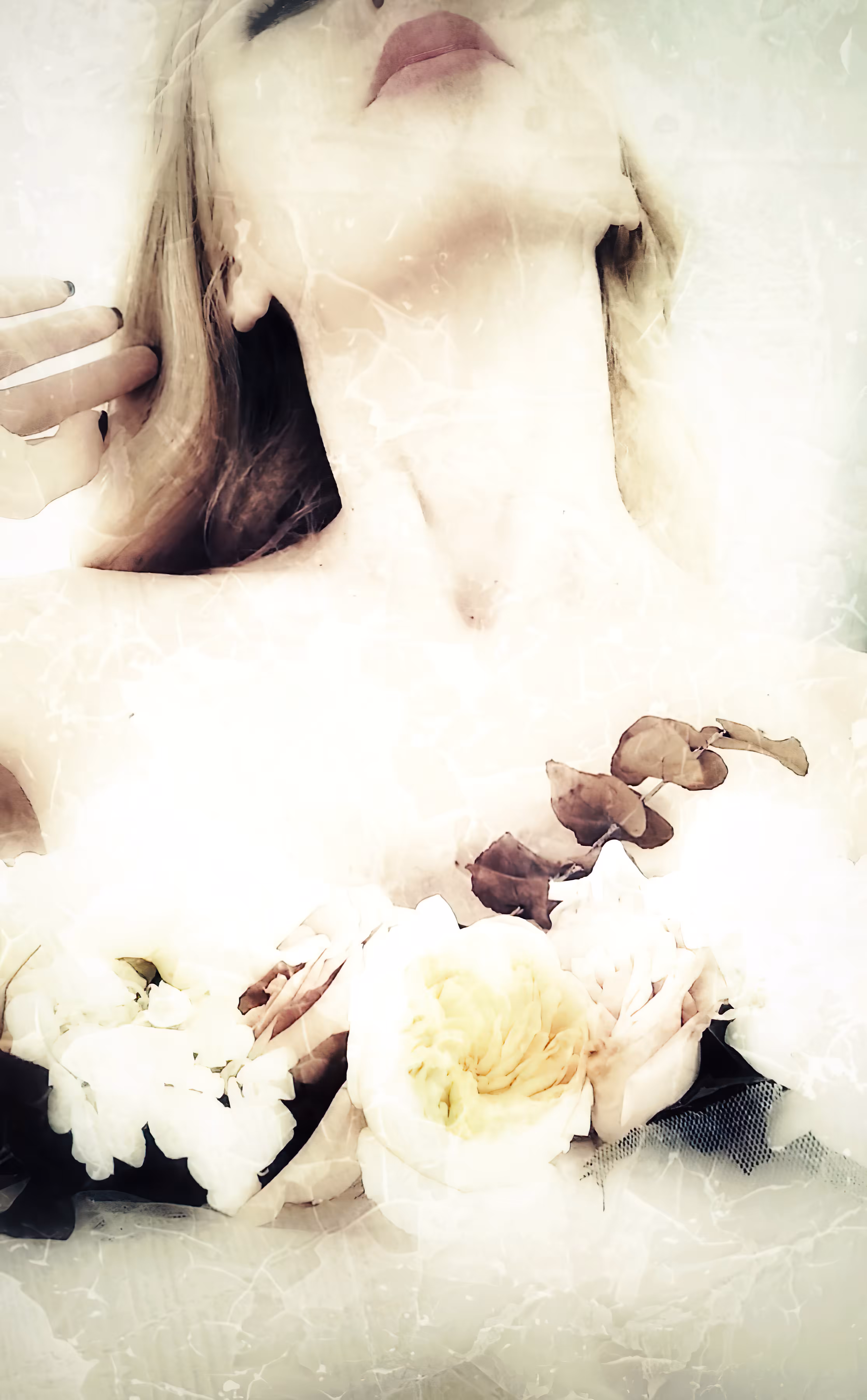 You are Sublime 