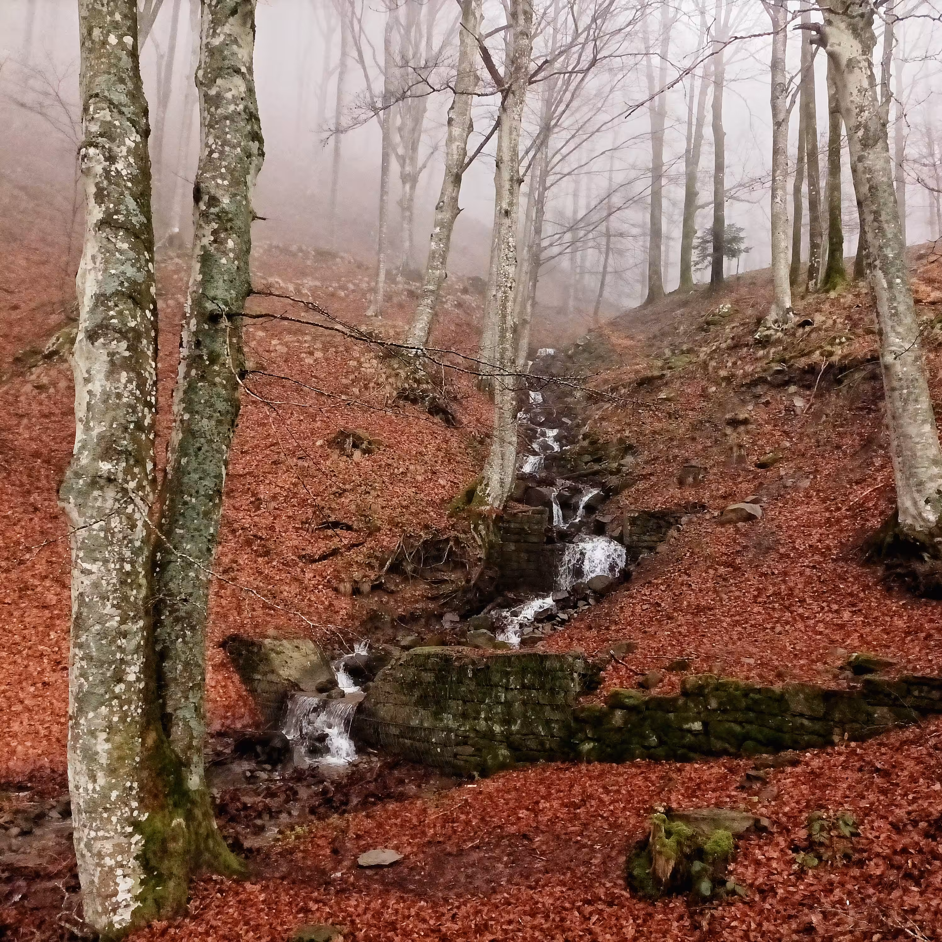 A Peaceful place