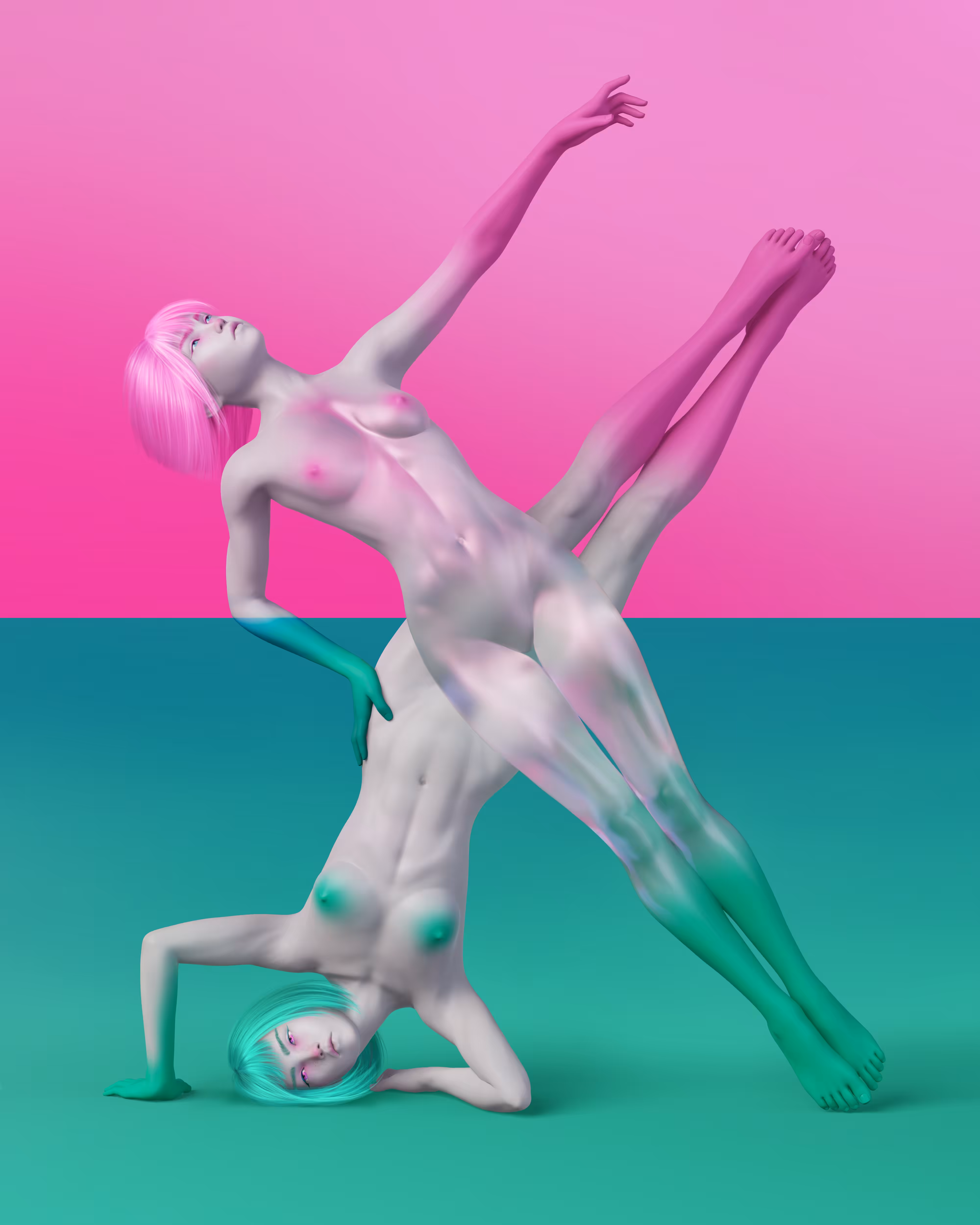 Fixation