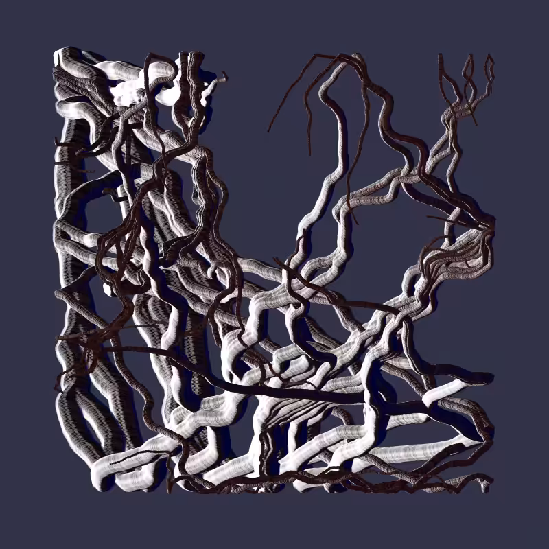 Root #39