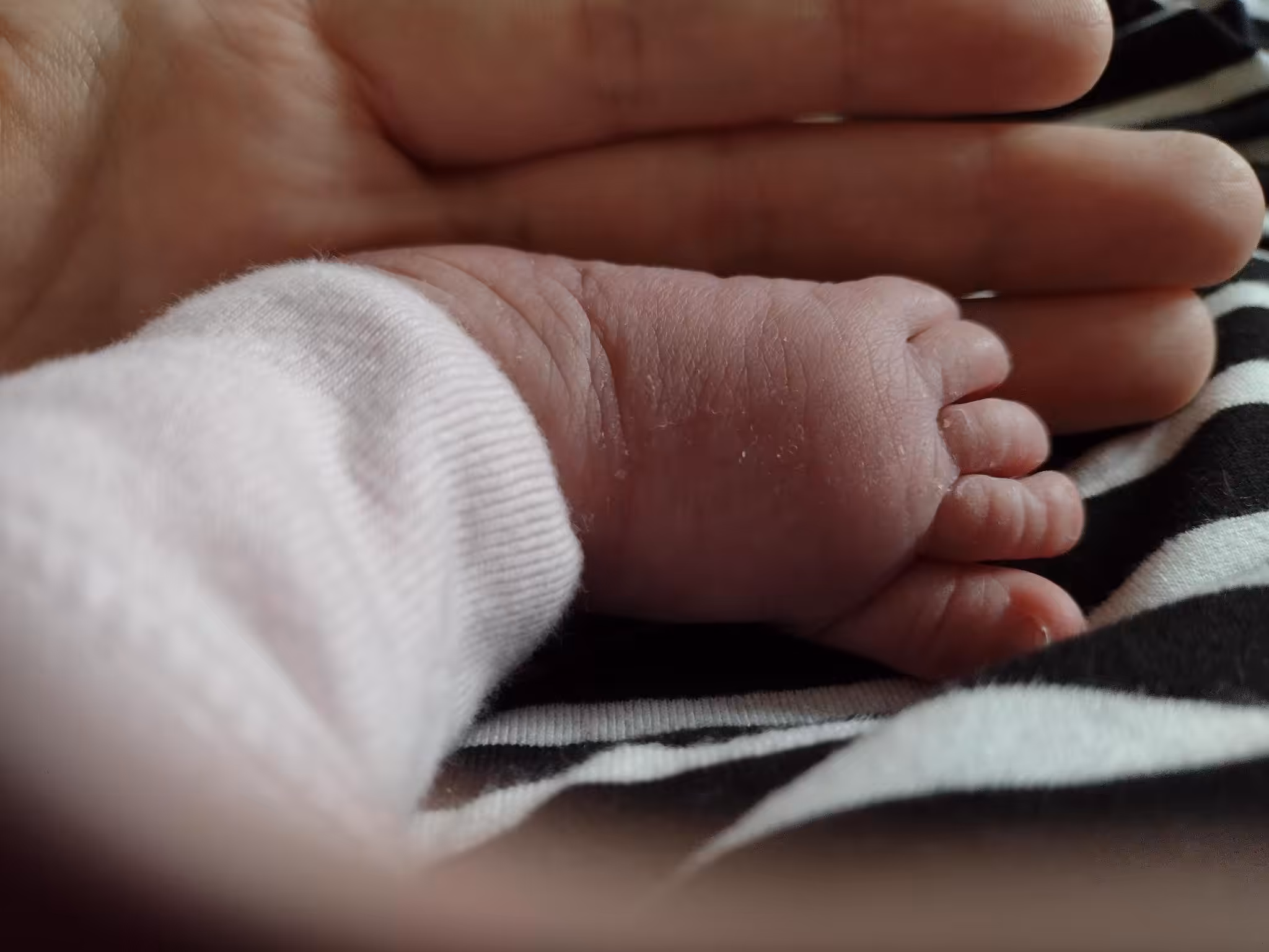 The Most Beautiful Foot