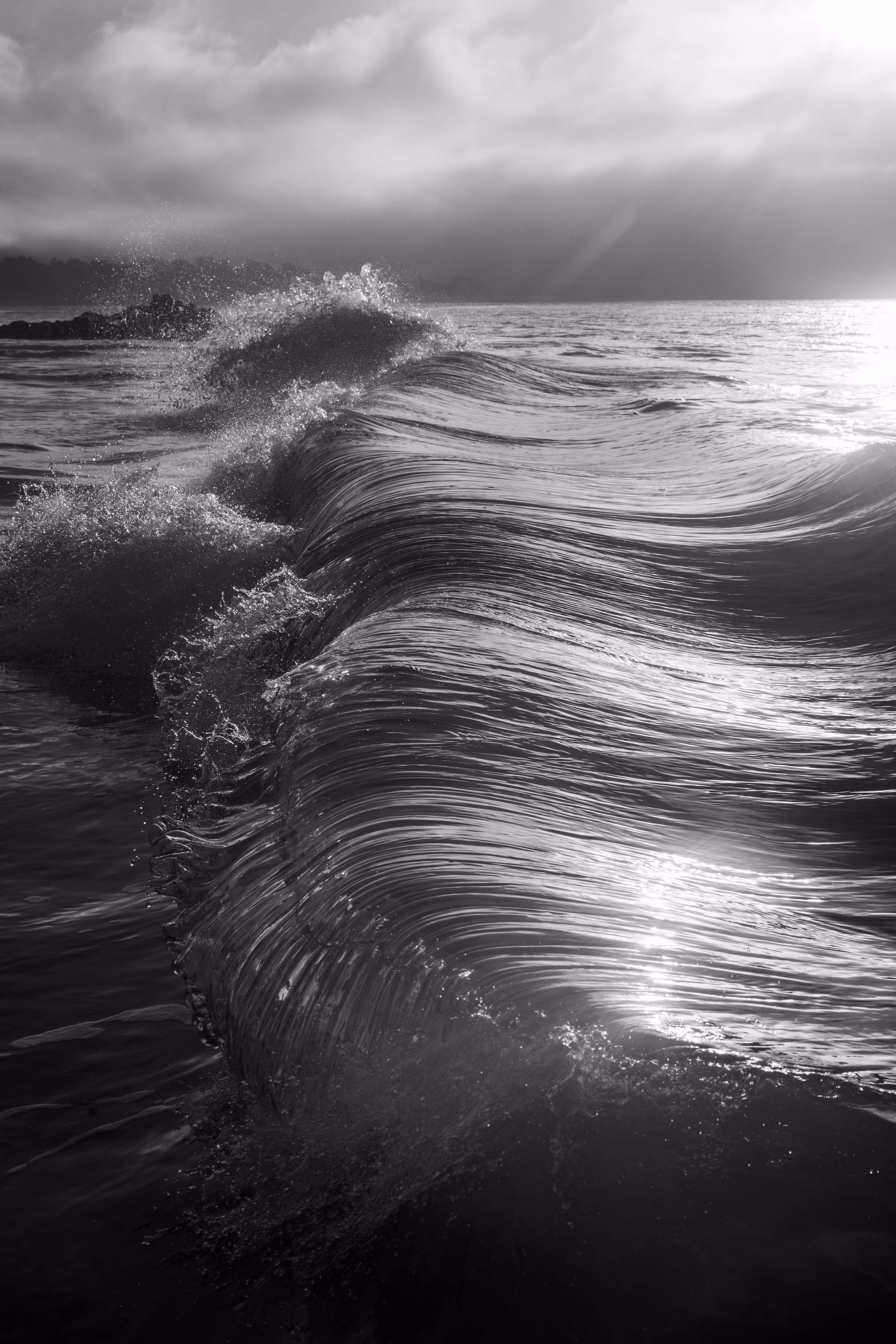 Dark Tide Paradise