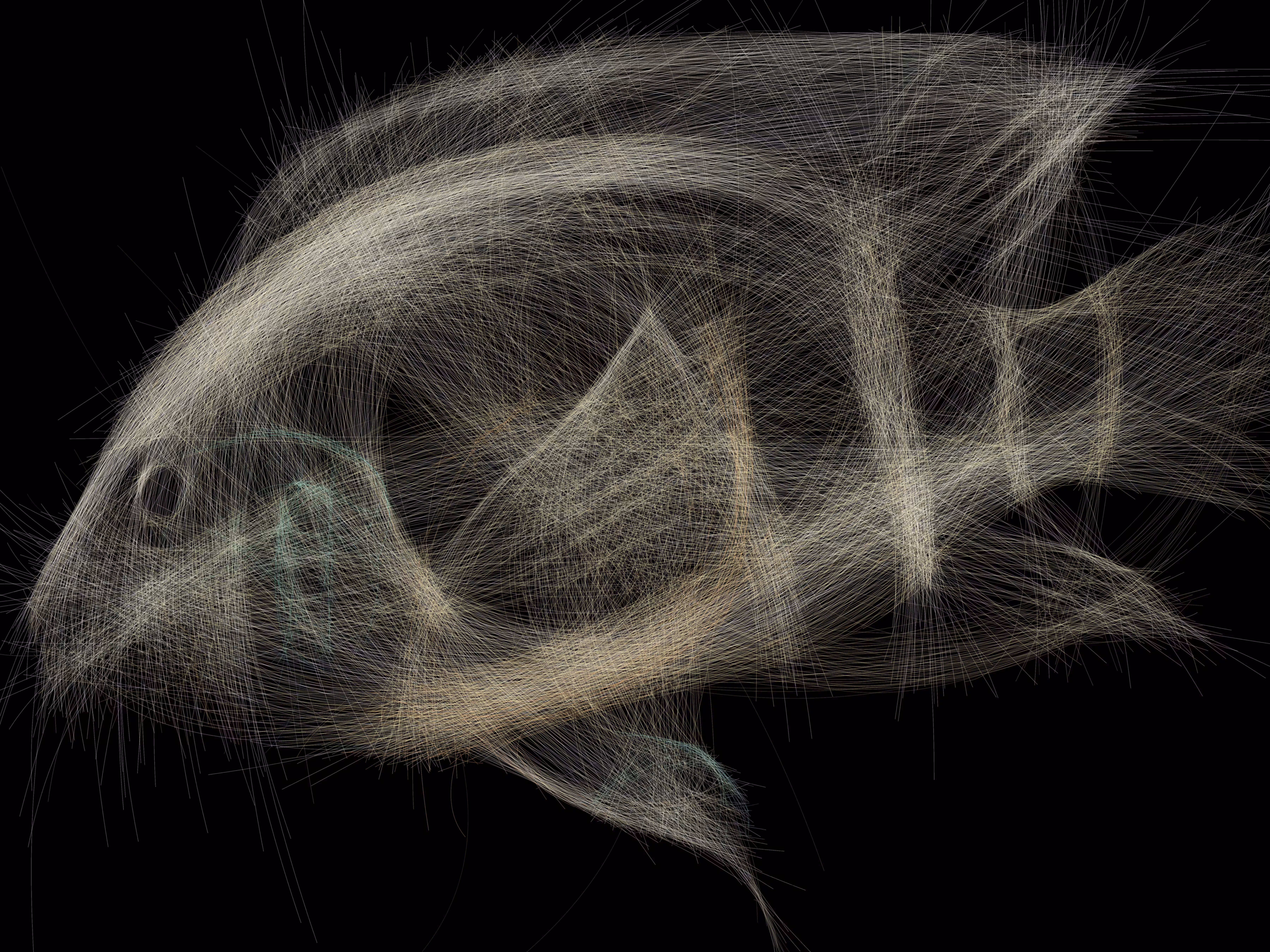 Underwater 264
