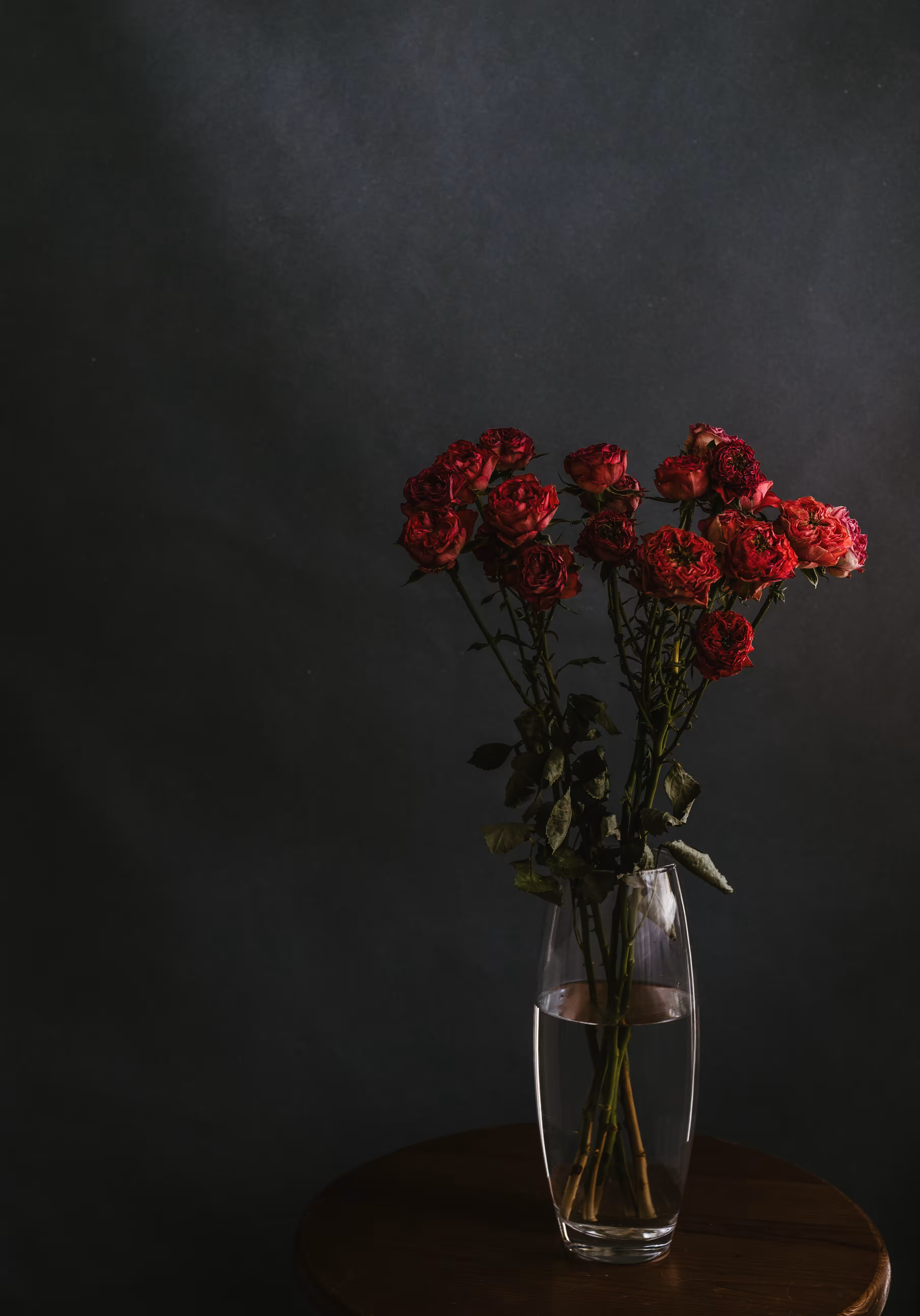 Soul of the flower #4