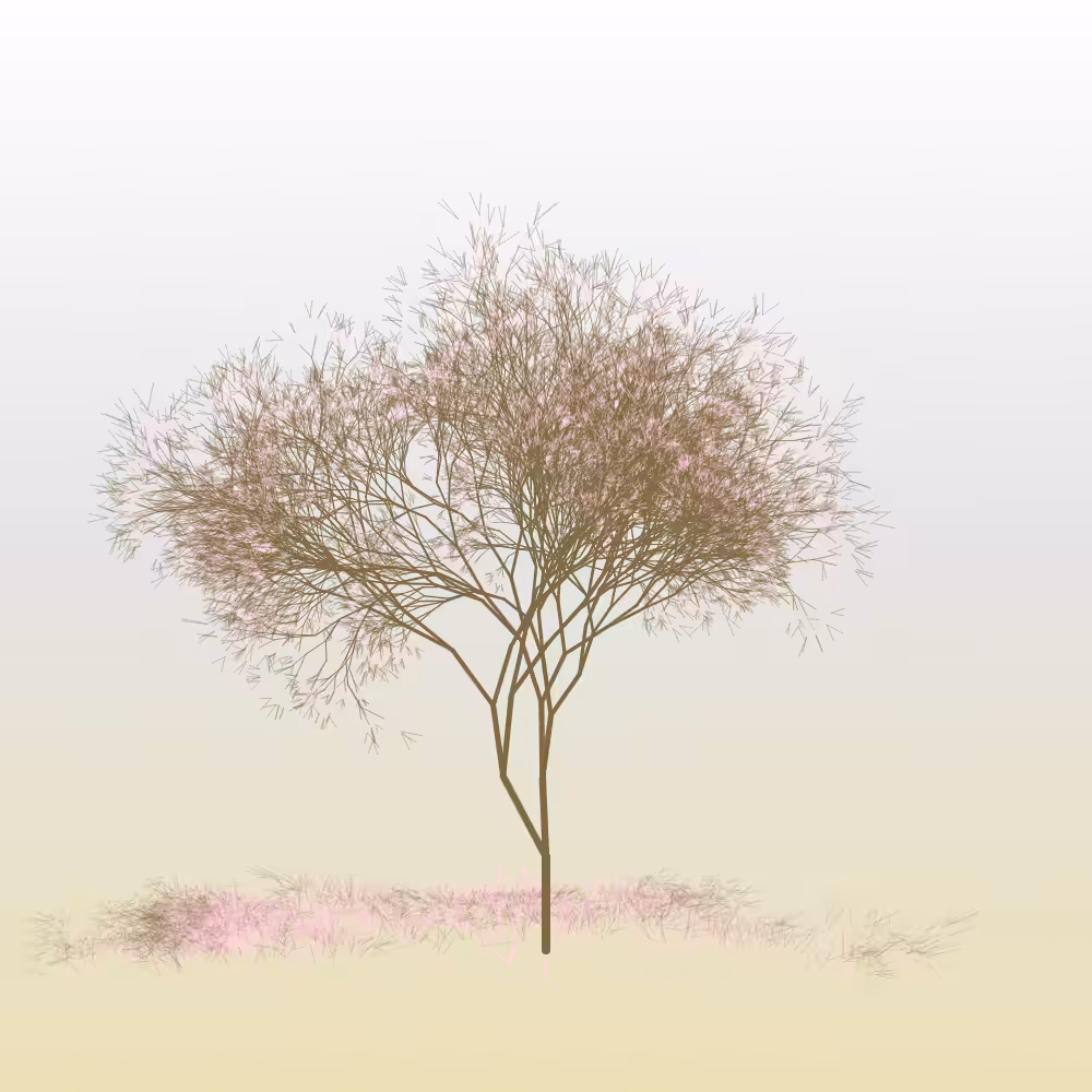 Hanami #30