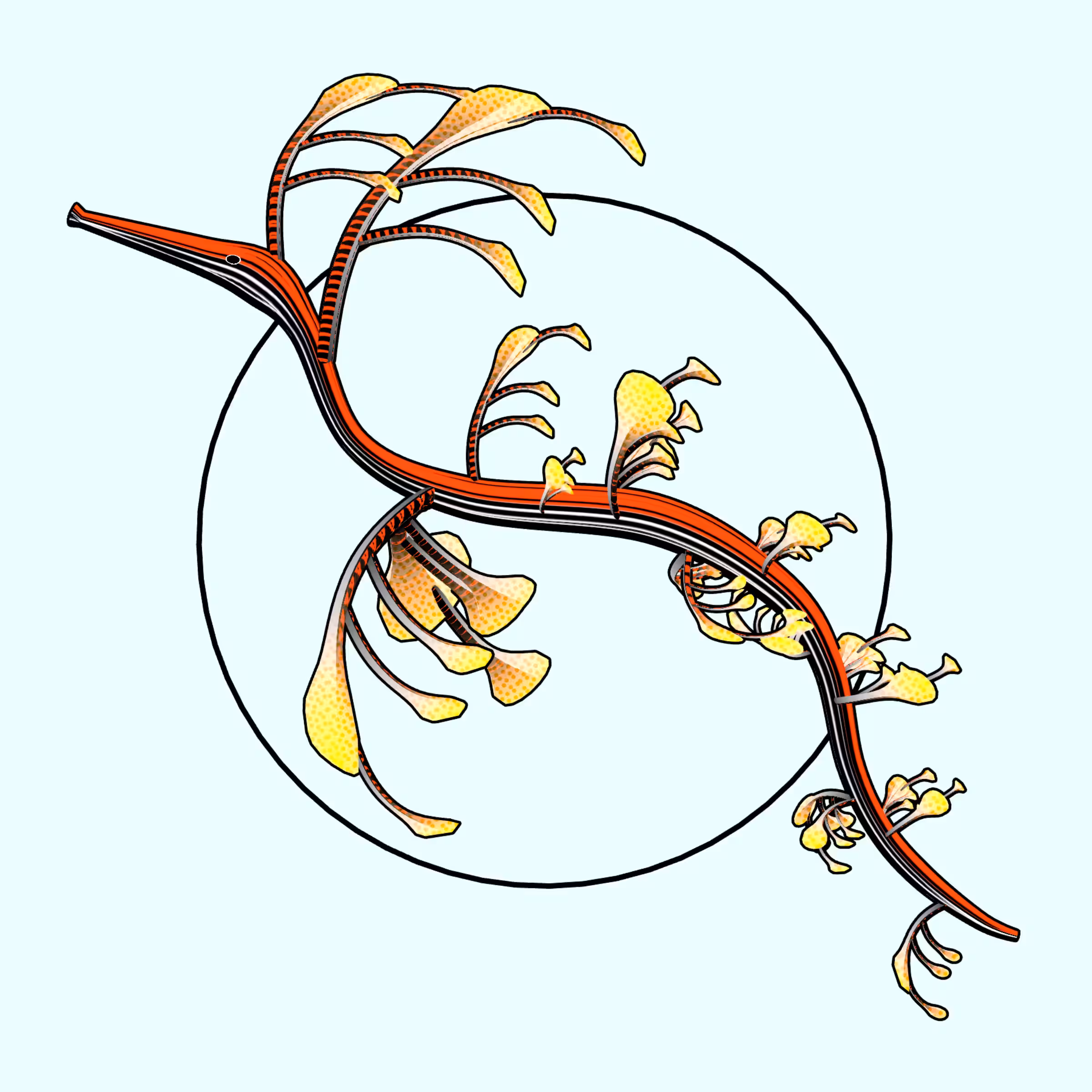 Seadragons #698
