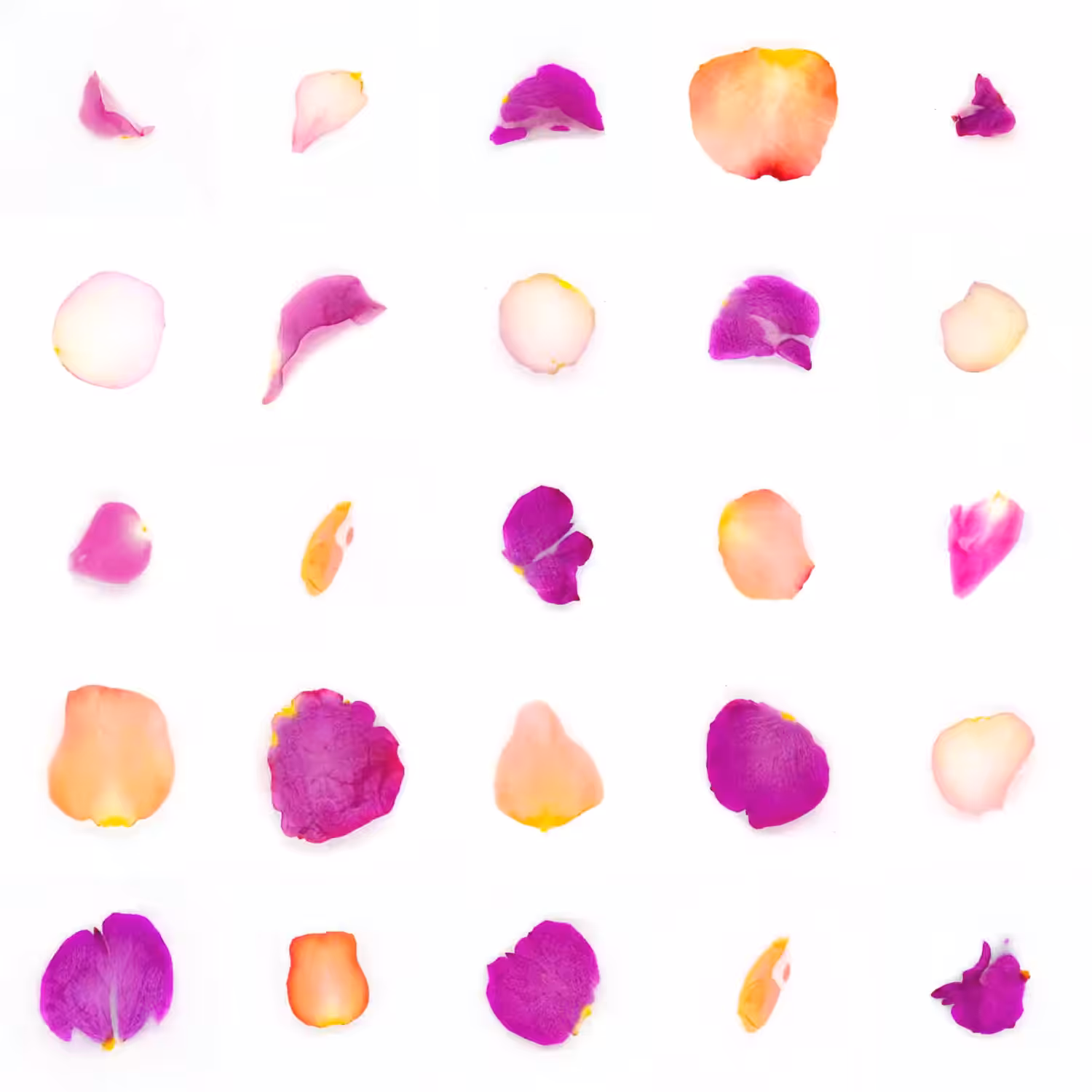 Infinite Petals 5x5#20720