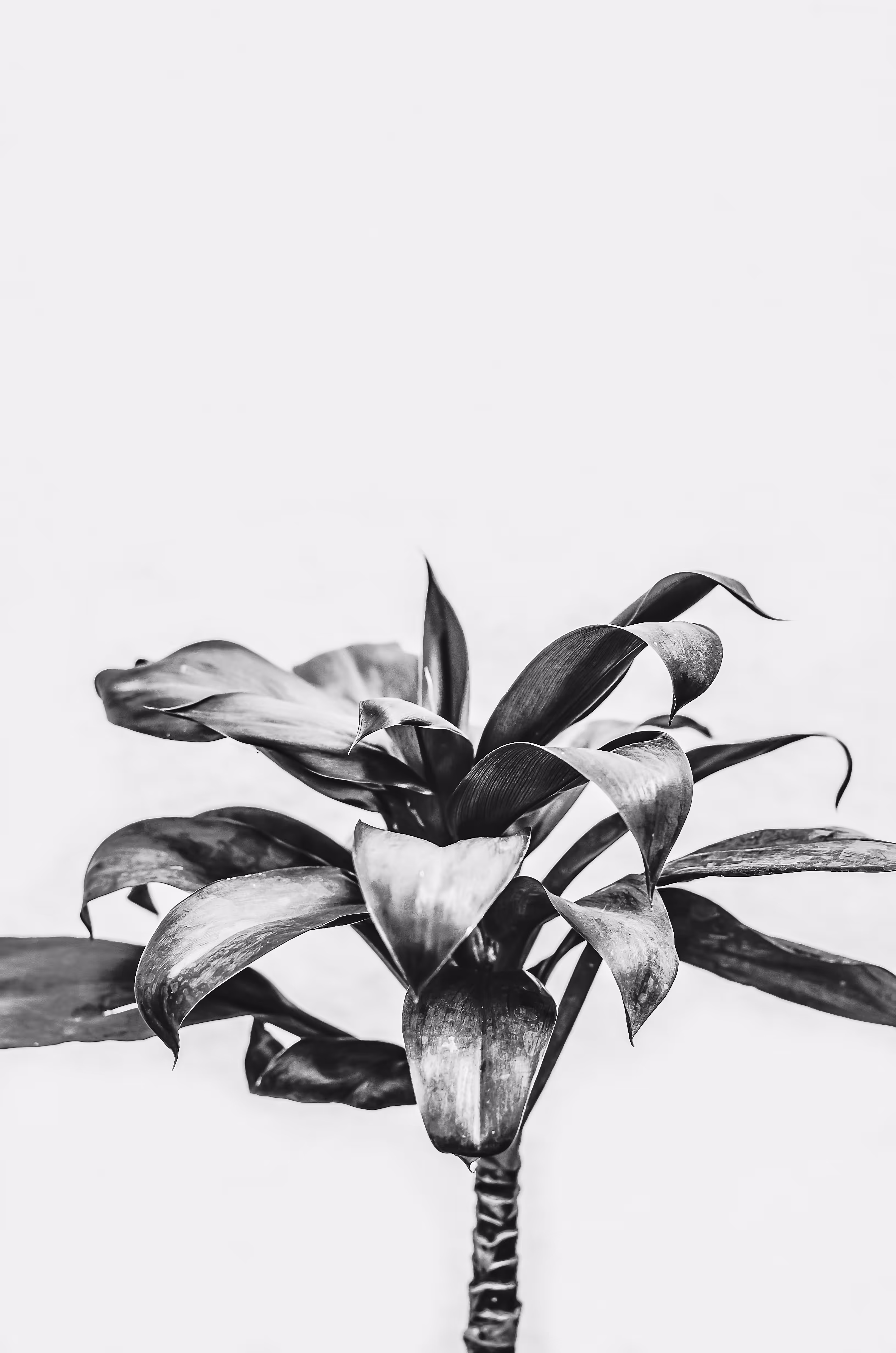 Enjoy the Poetry I