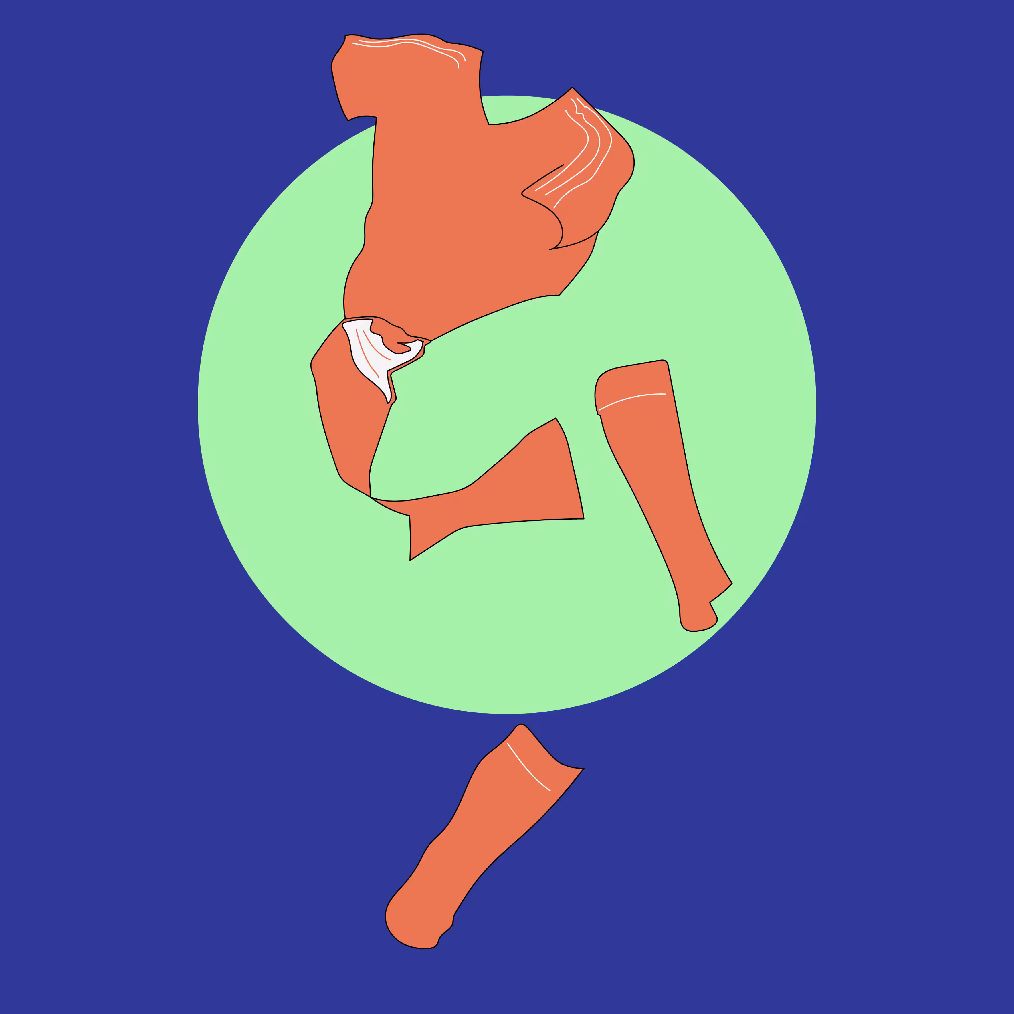 #012 Swan Of Utrecht