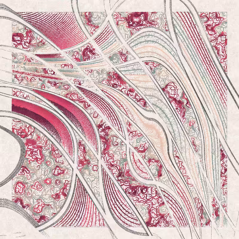 Curlida #61
