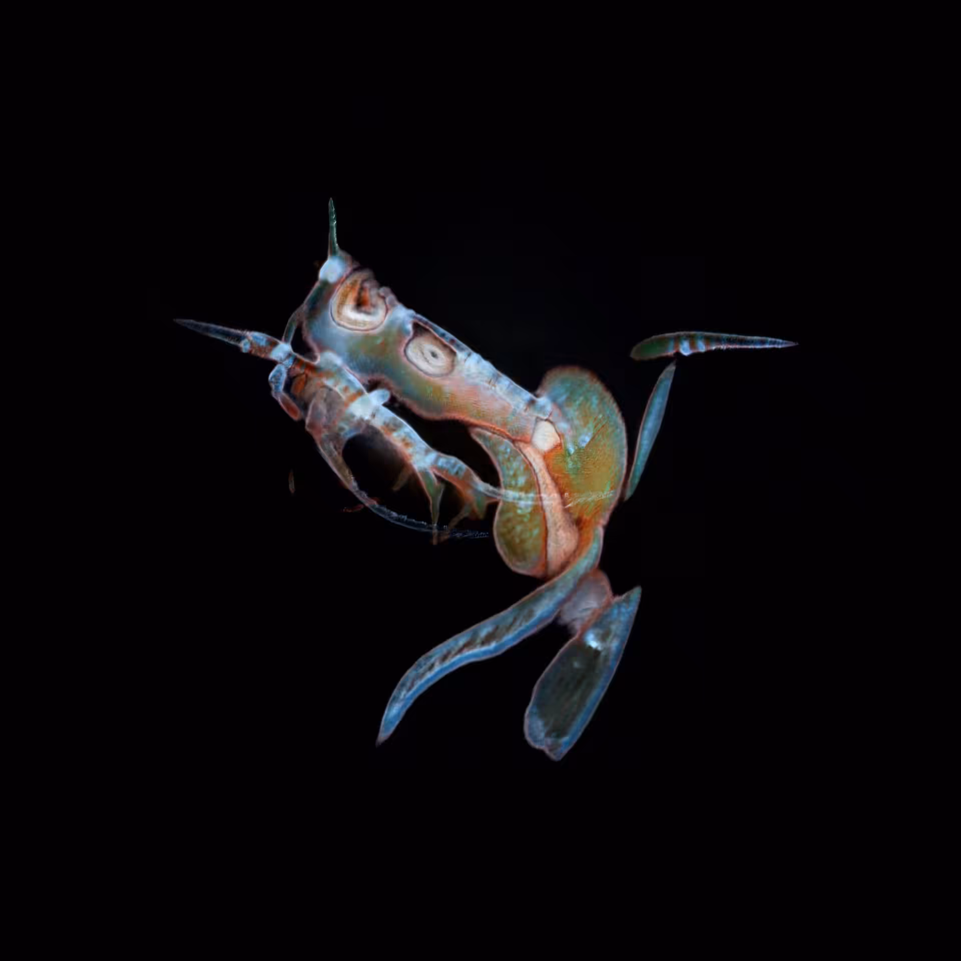 Sperma 19