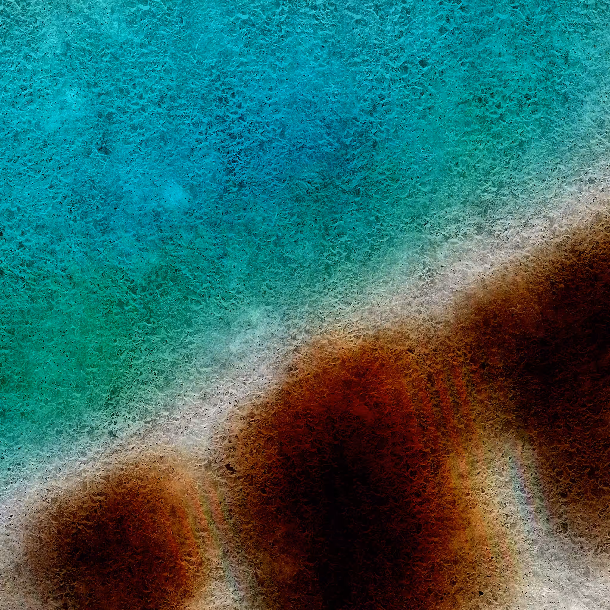 Transition Movement #05