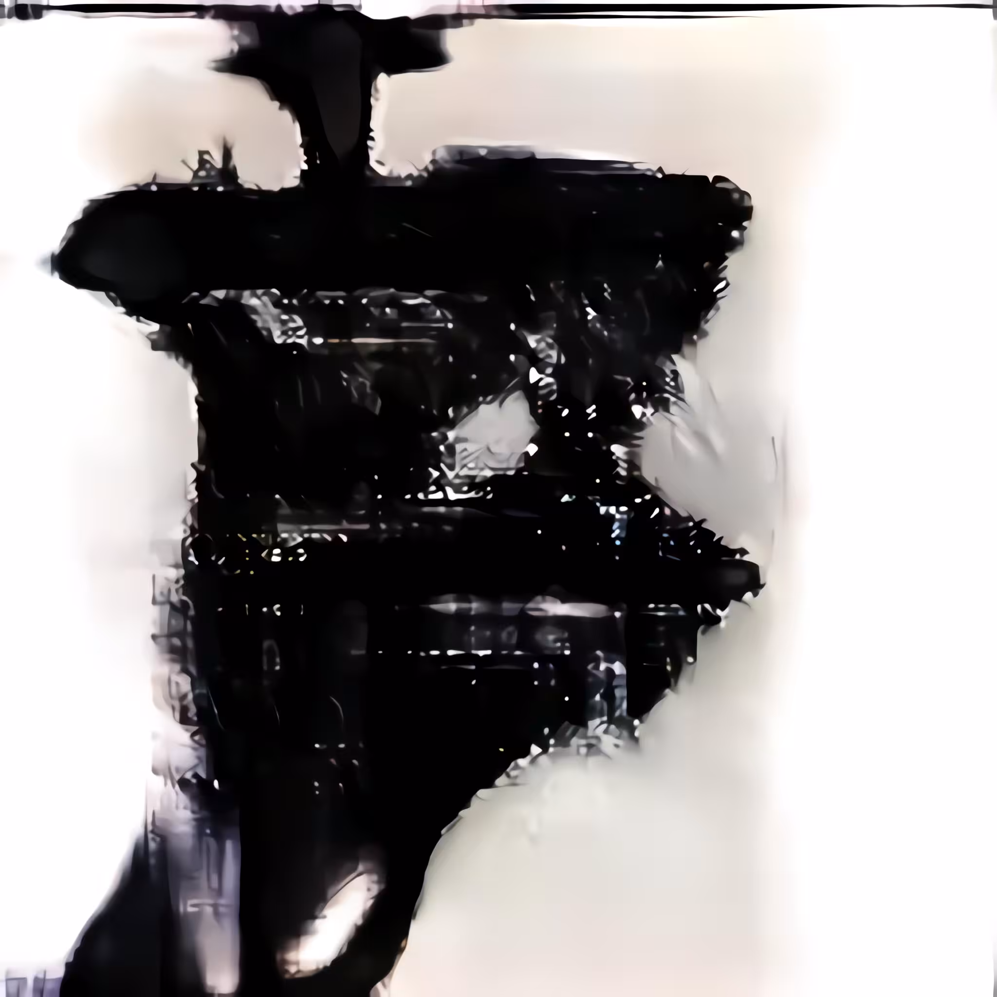  Franz Kline's Ducks (Duck N_08)