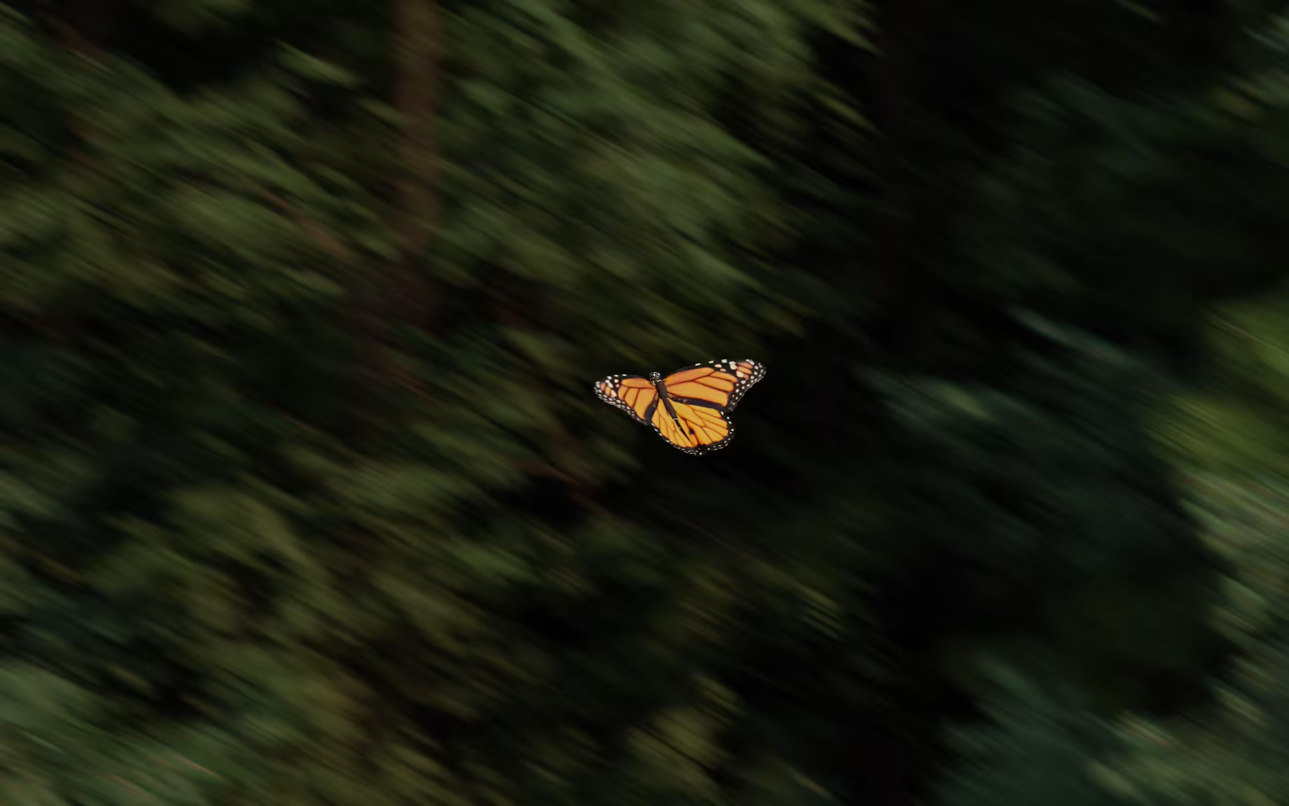 in flight