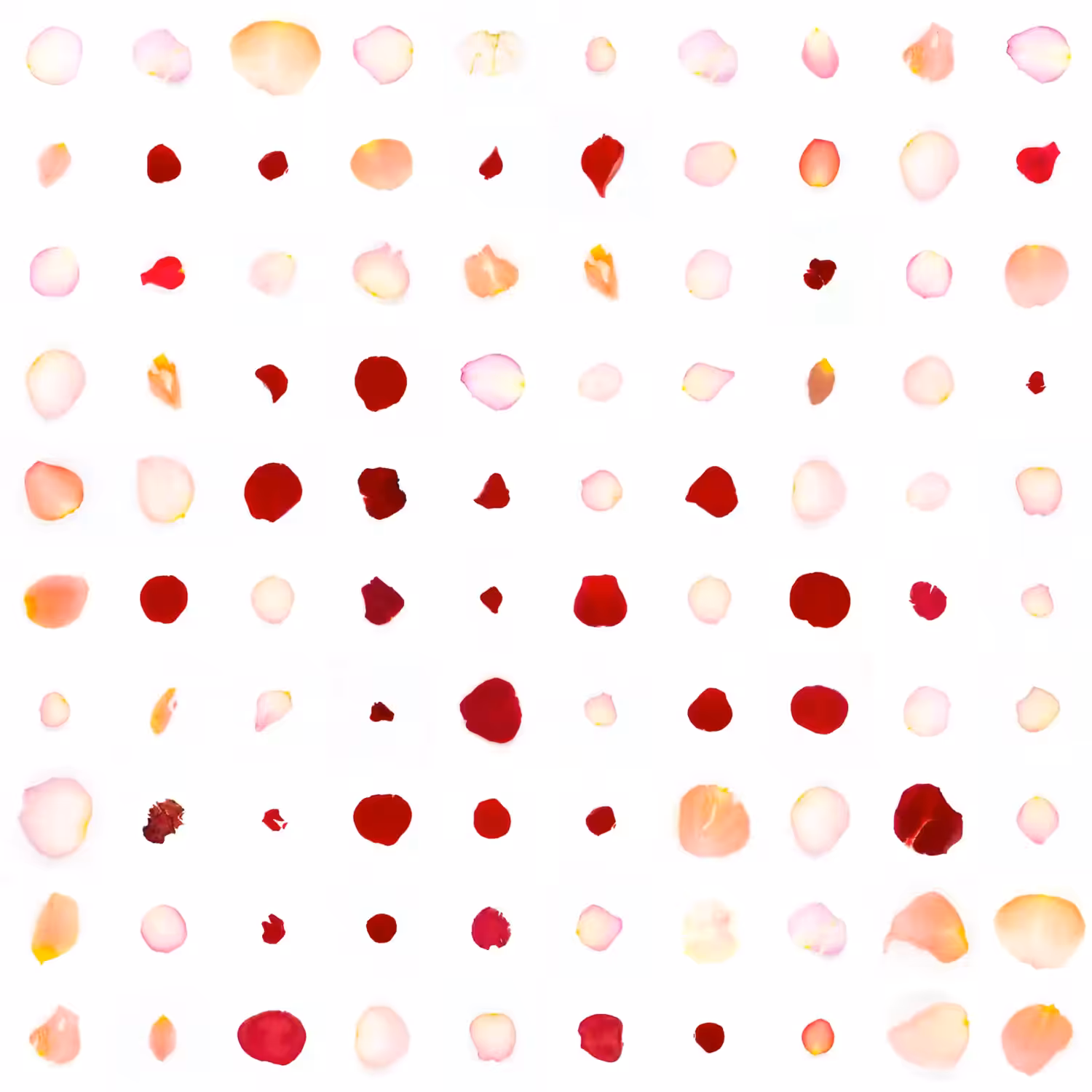 Infinite Petals 10x10#392