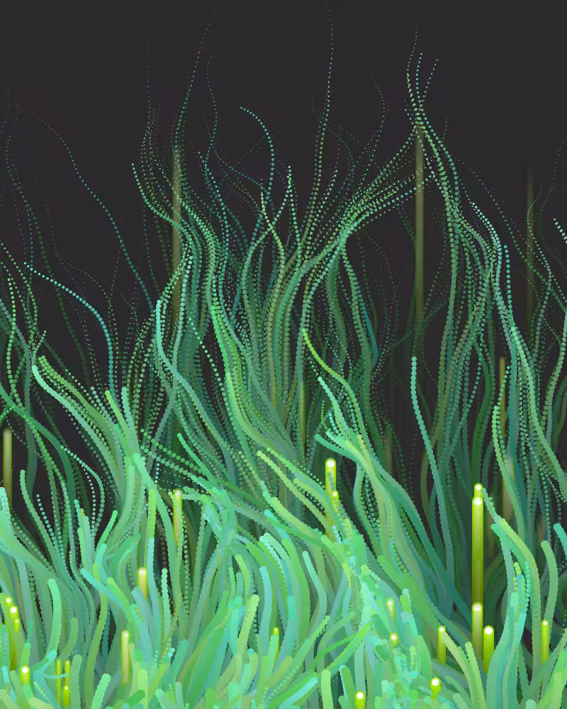 Waterweed #27