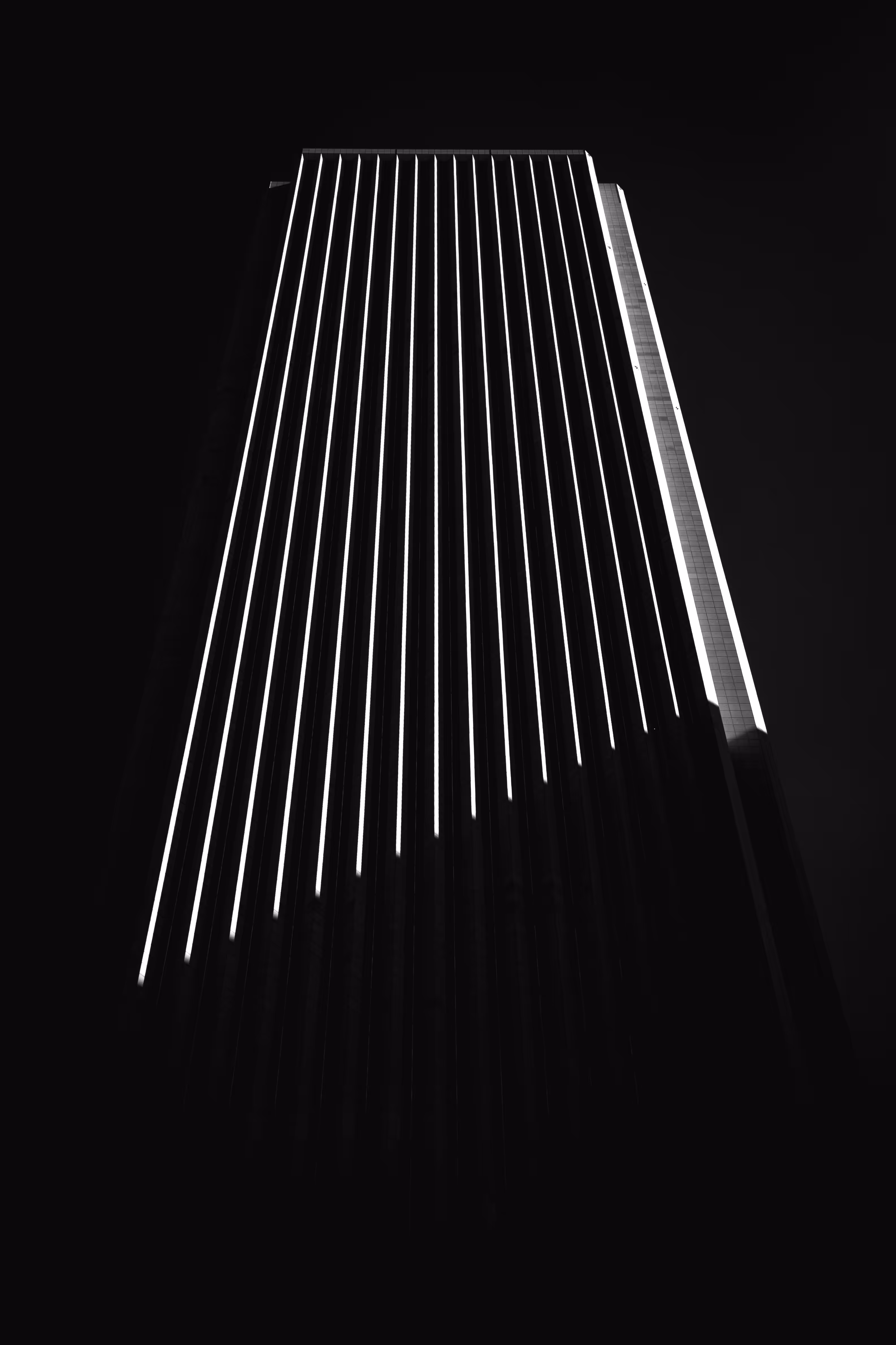 Photography Trending Up